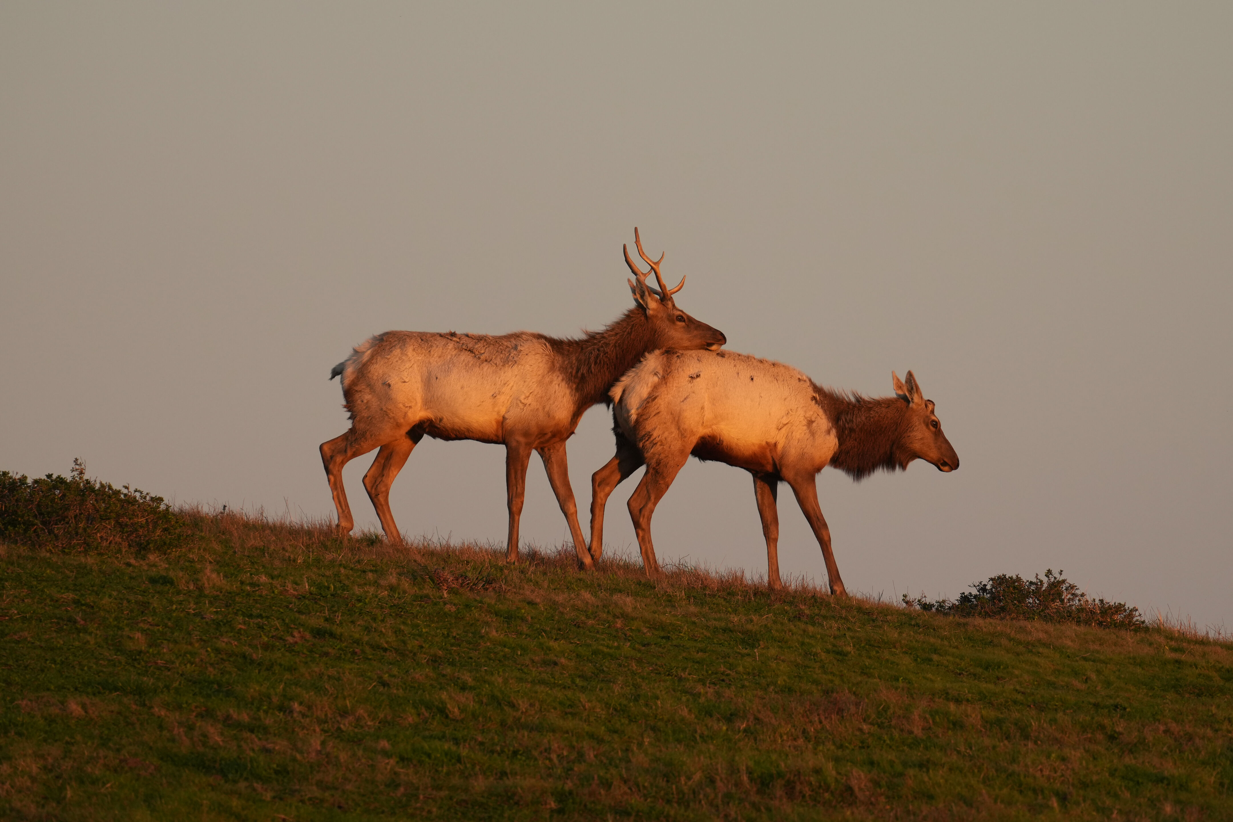 Point Reyes National Seashore - Historic Ranches