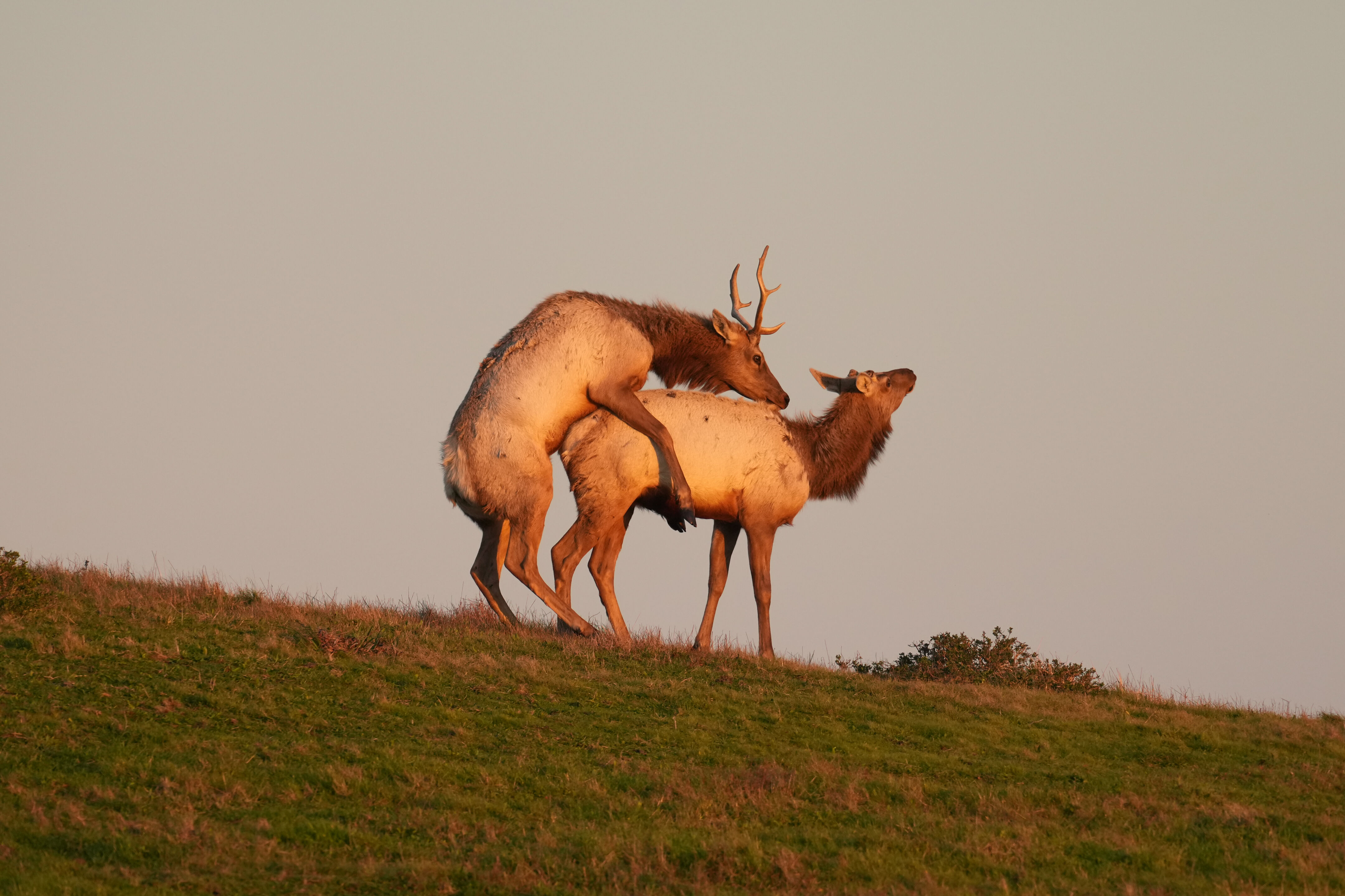 Point Reyes National Seashore - Historic Ranches