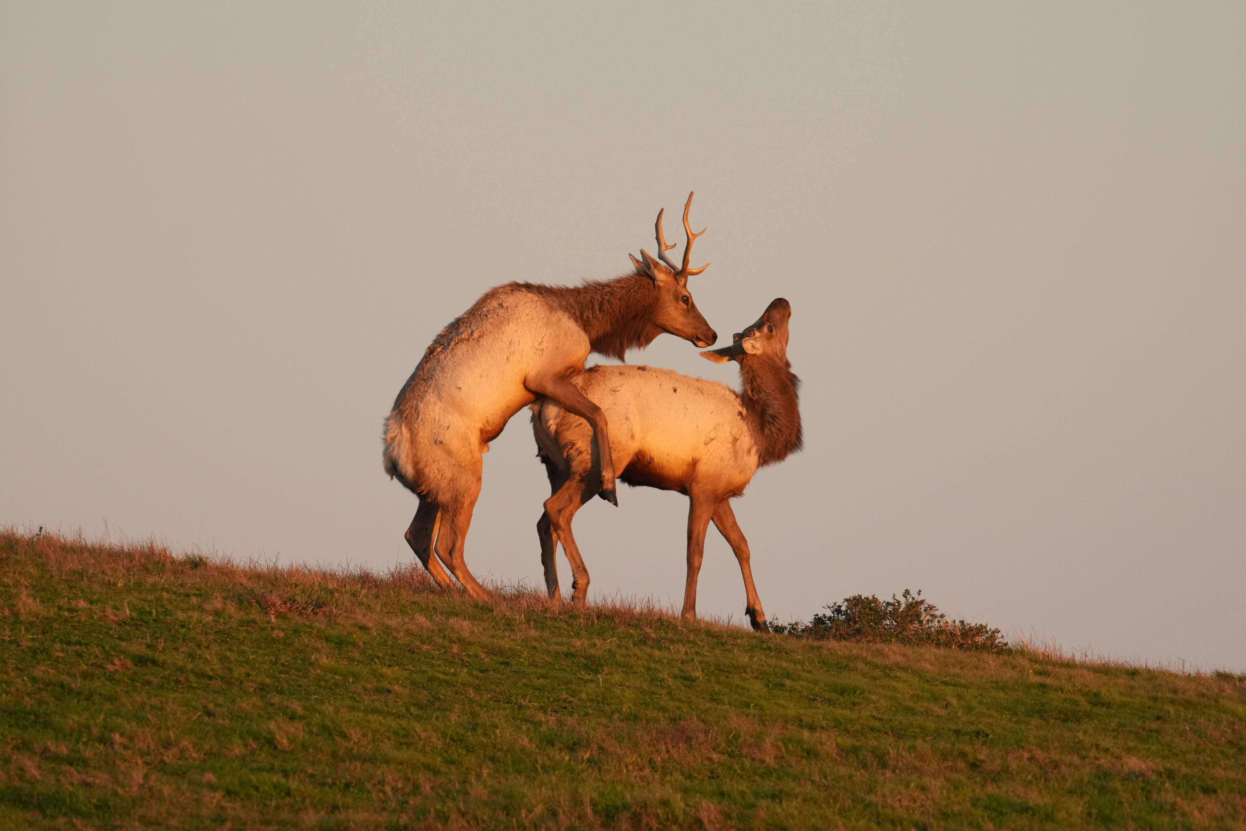 Point Reyes National Seashore - Historic Ranches