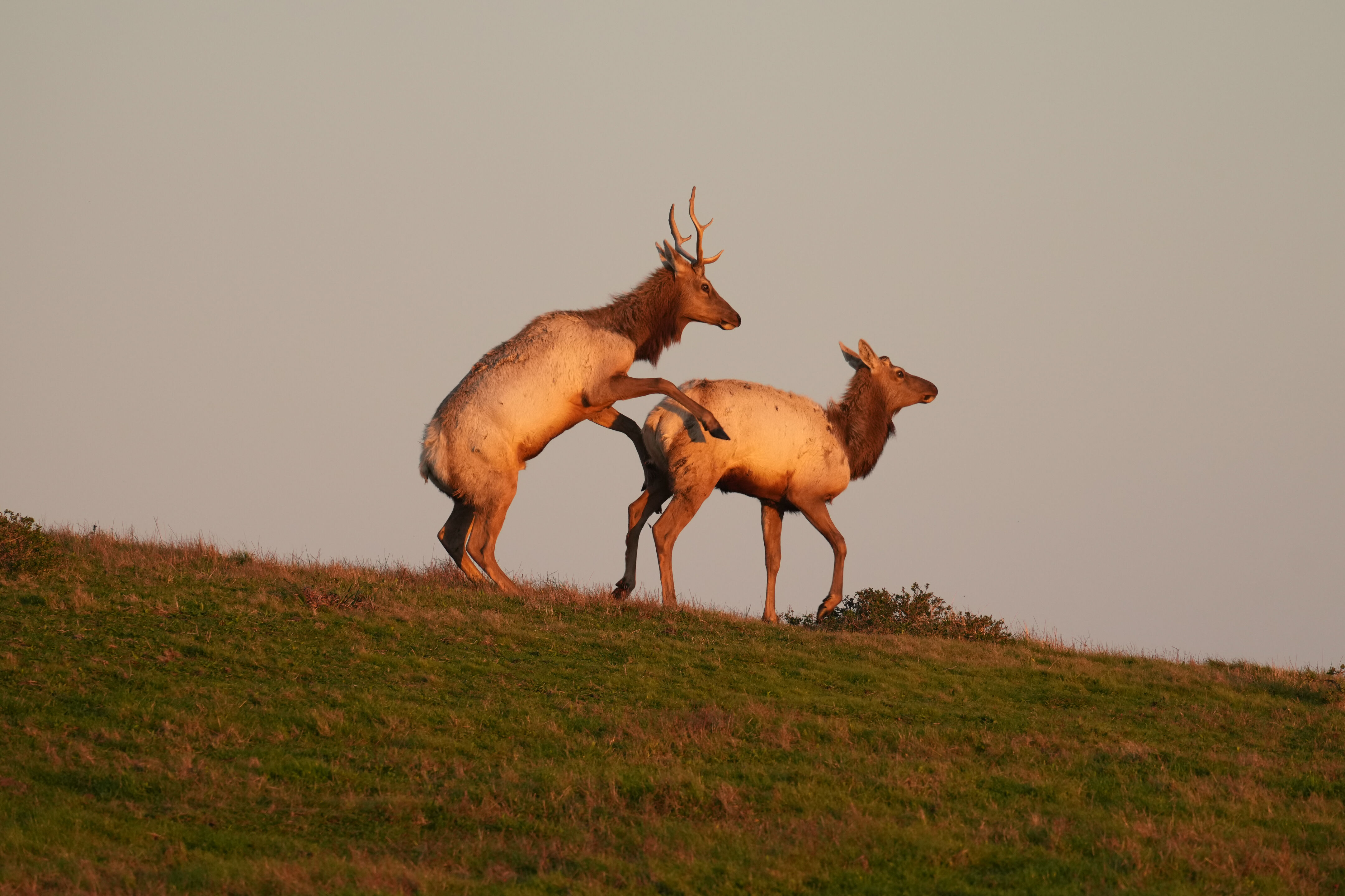 Point Reyes National Seashore - Historic Ranches