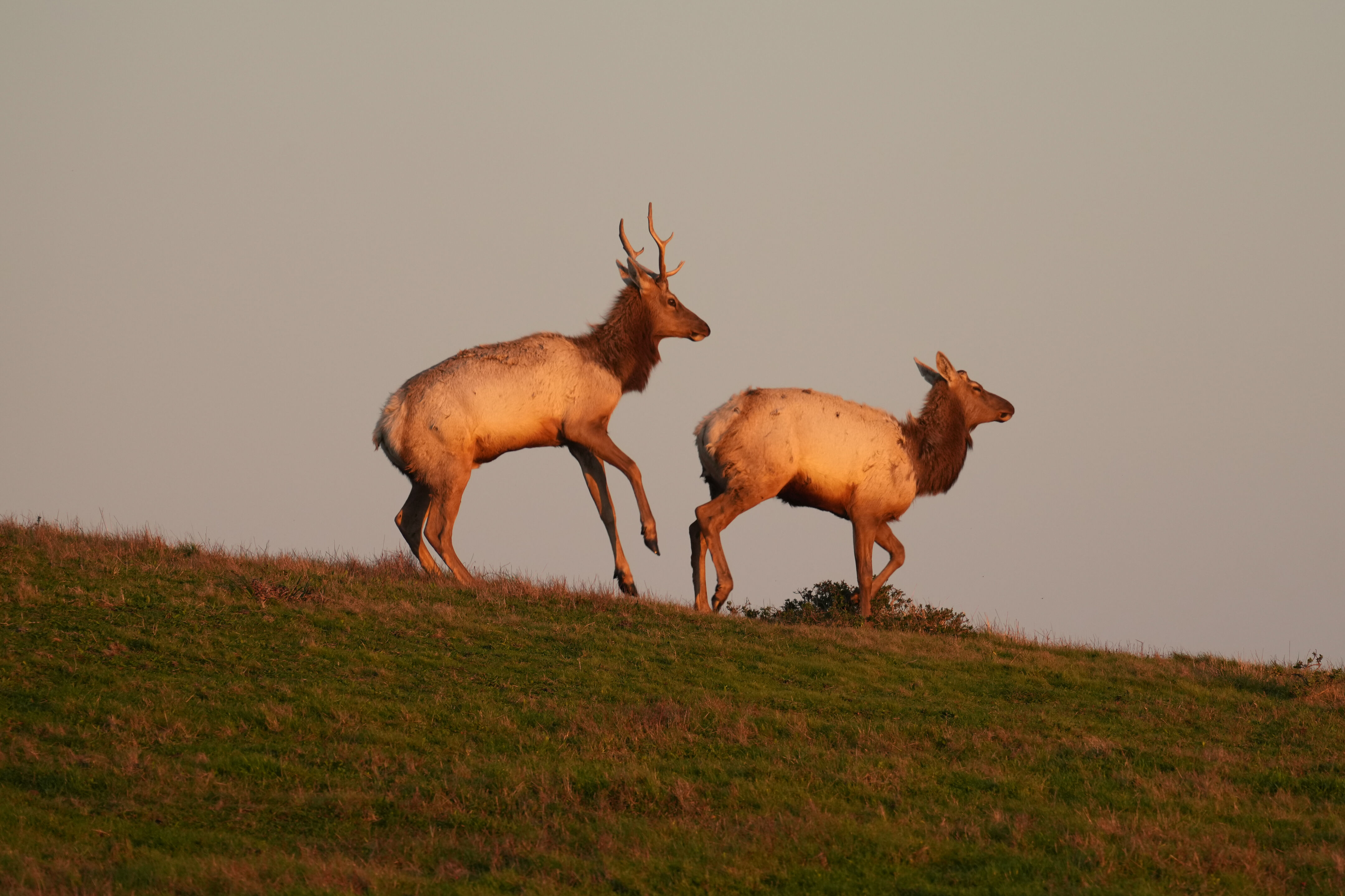 Point Reyes National Seashore - Historic Ranches