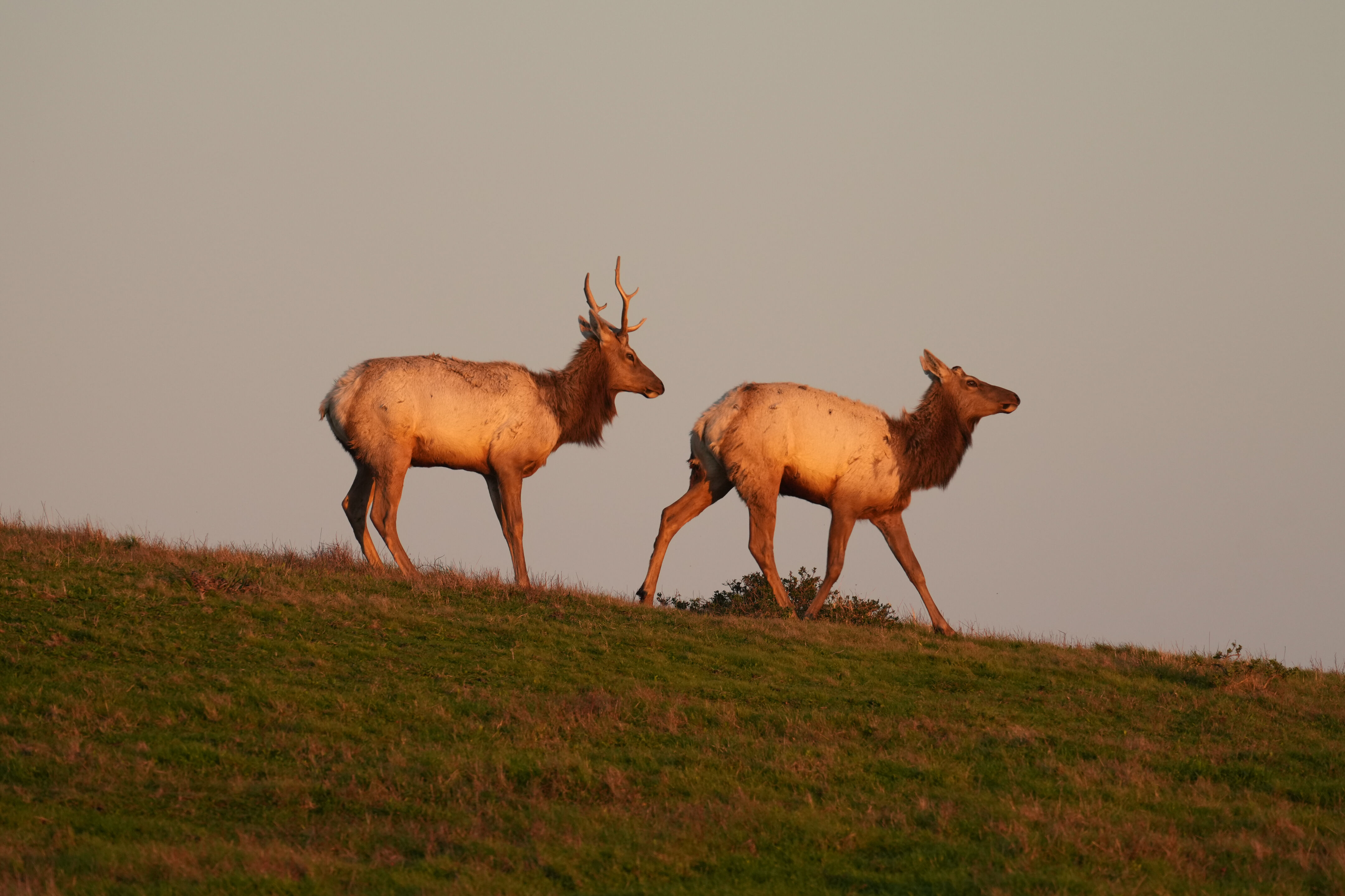Point Reyes National Seashore - Historic Ranches