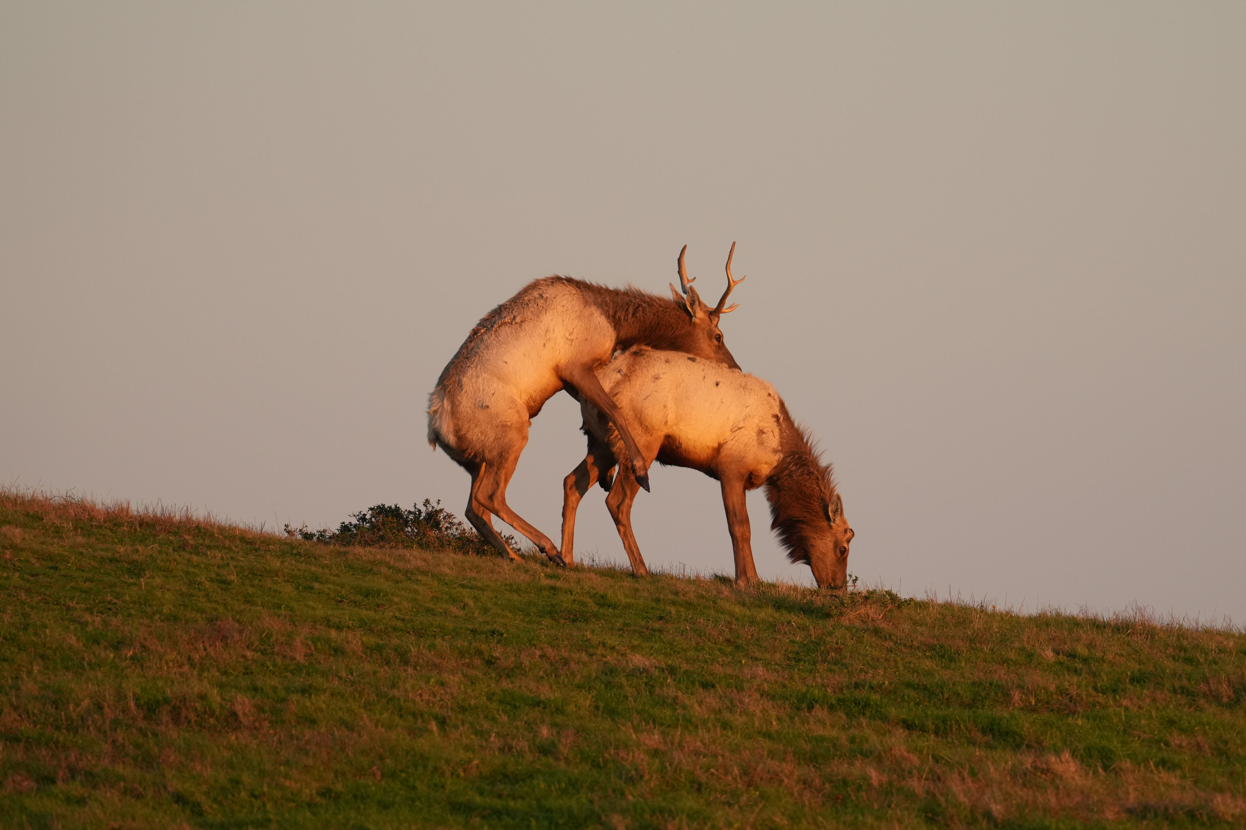 Point Reyes National Seashore - Historic Ranches