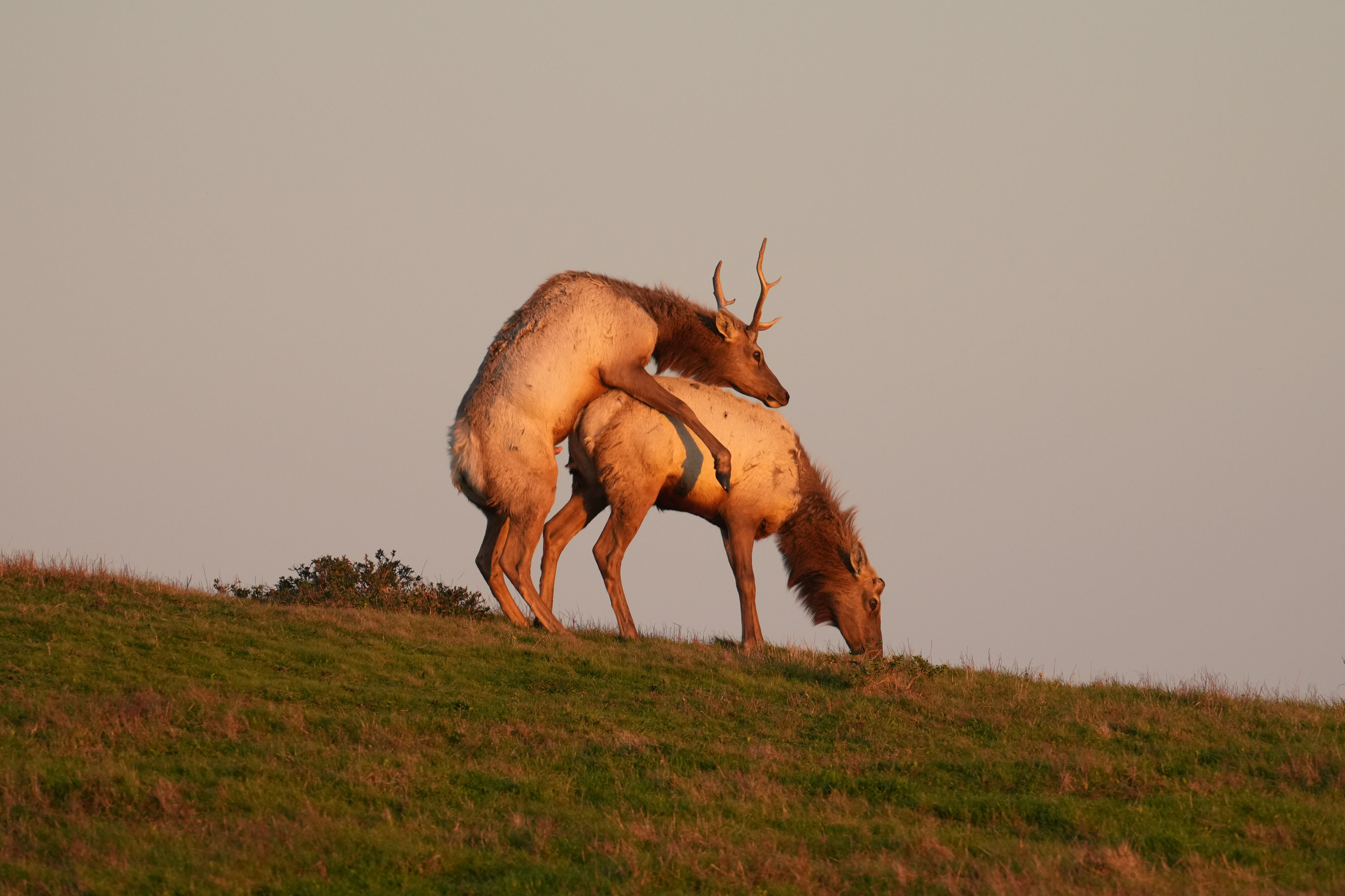 Point Reyes National Seashore - Historic Ranches