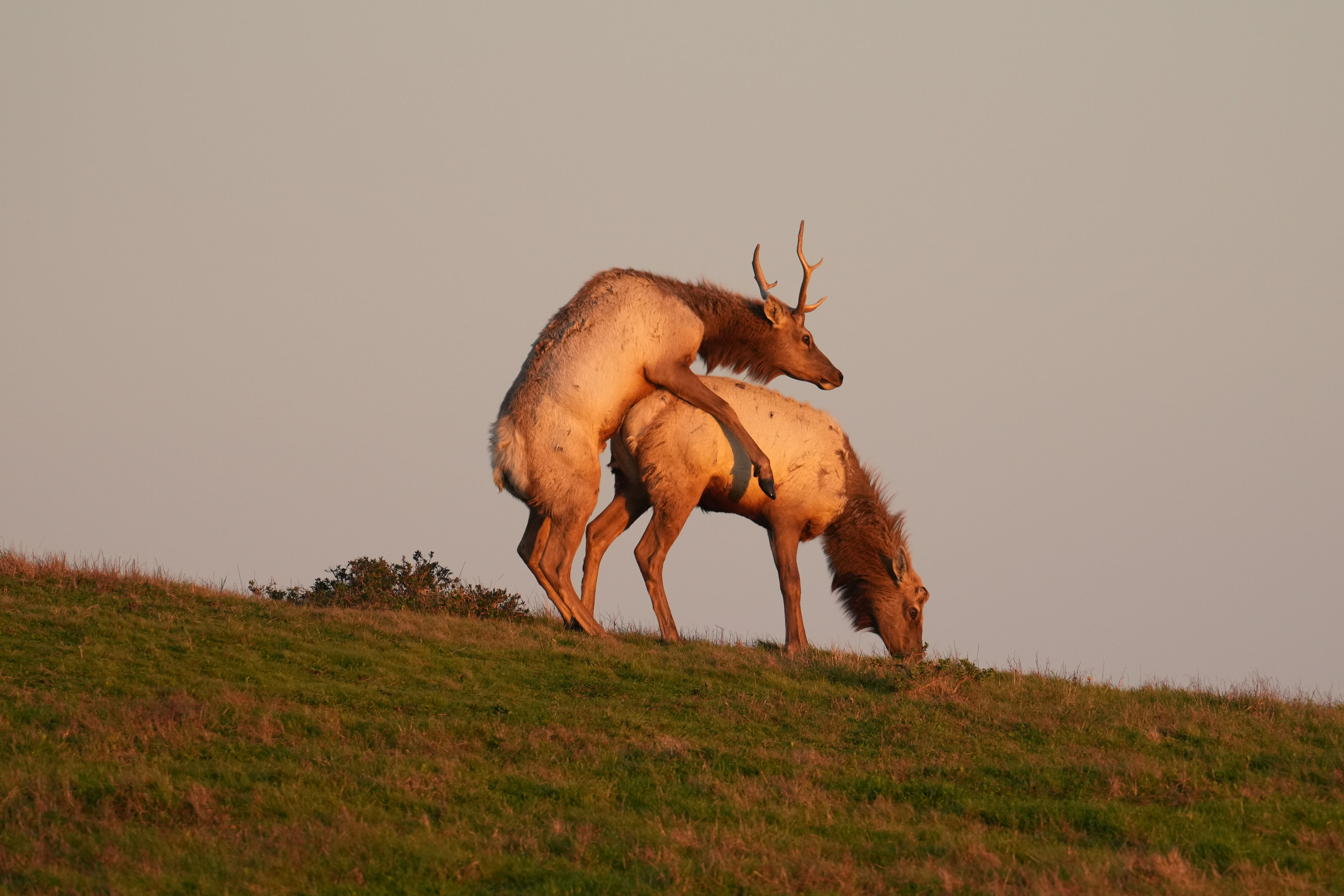 Point Reyes National Seashore - Historic Ranches