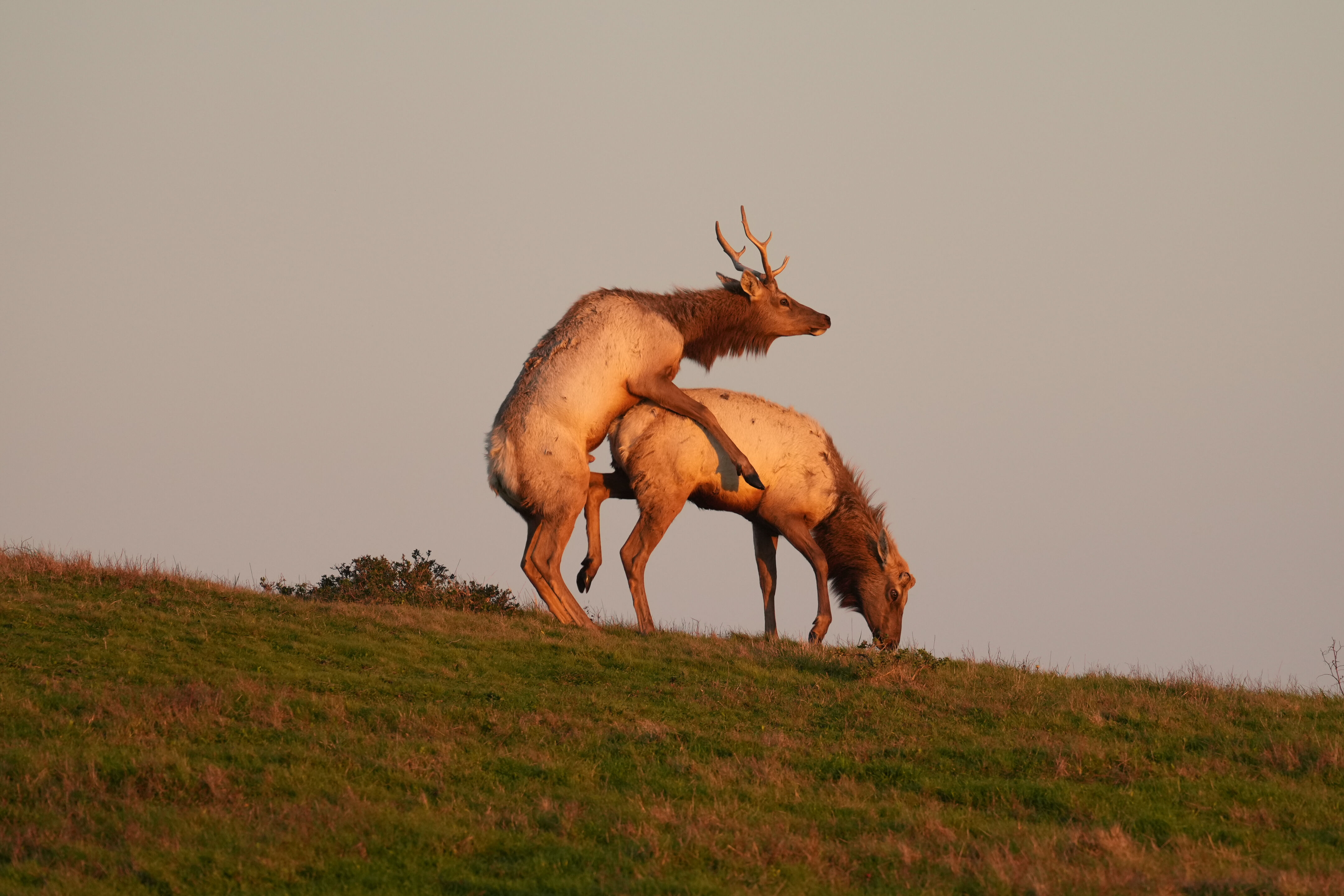 Point Reyes National Seashore - Historic Ranches