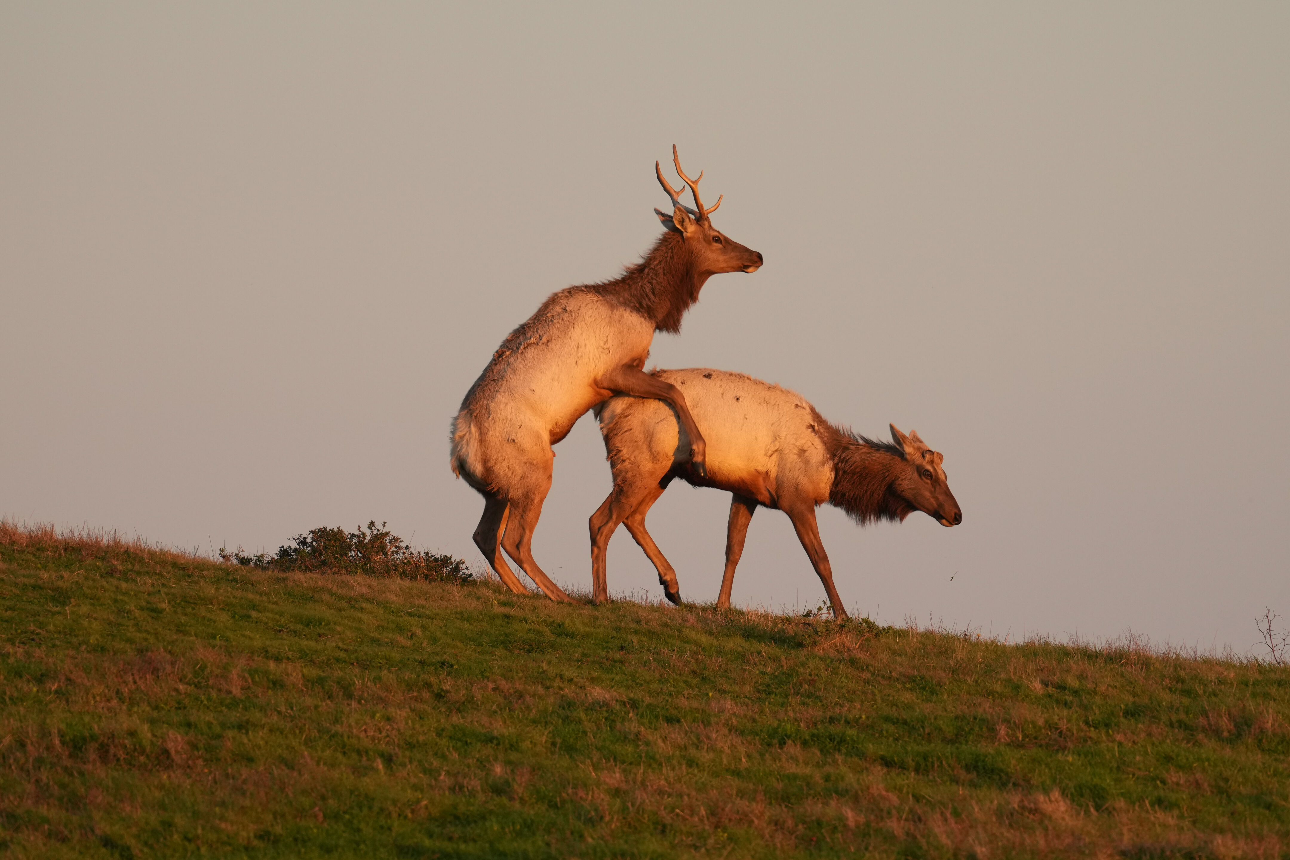 Point Reyes National Seashore - Historic Ranches
