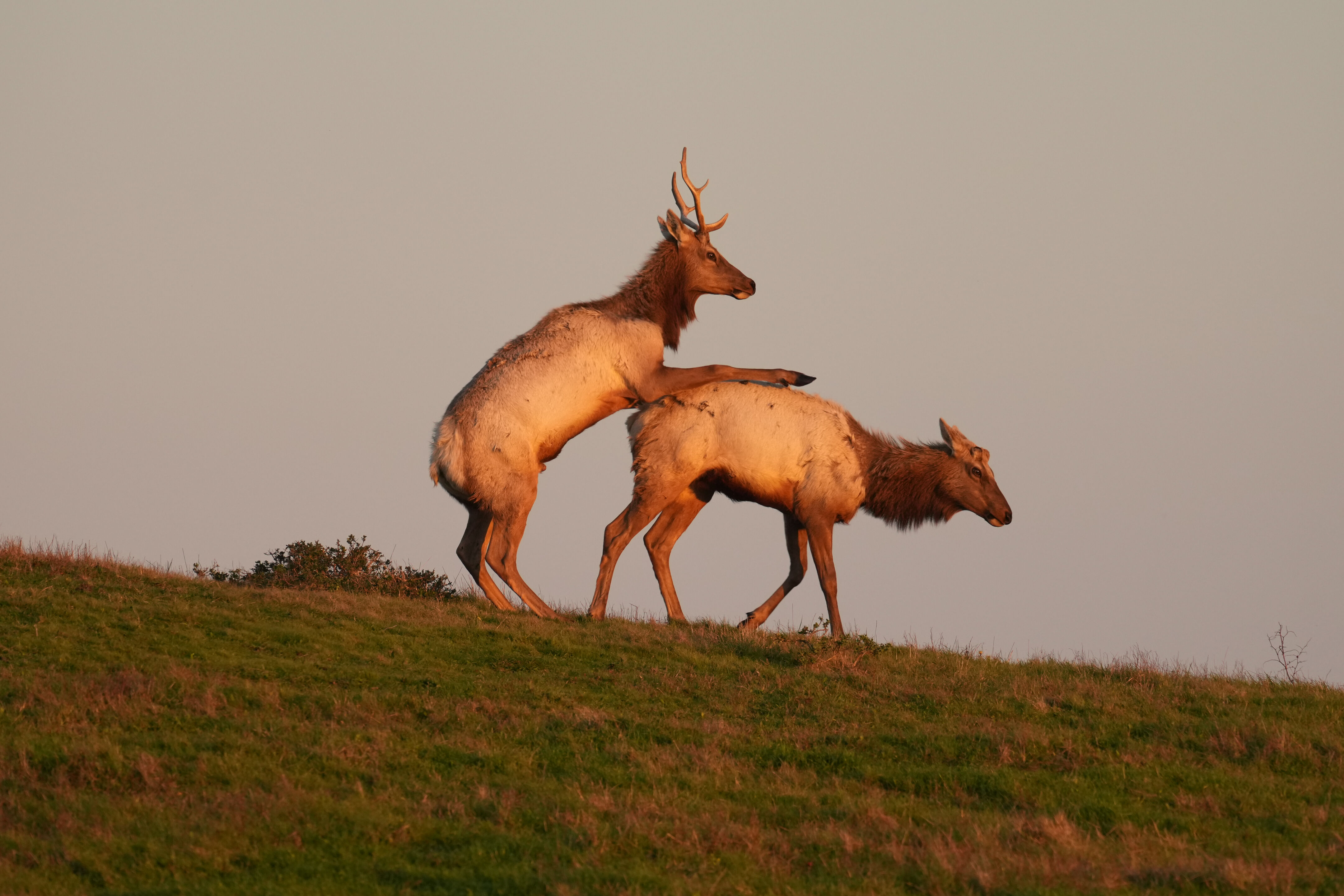 Point Reyes National Seashore - Historic Ranches