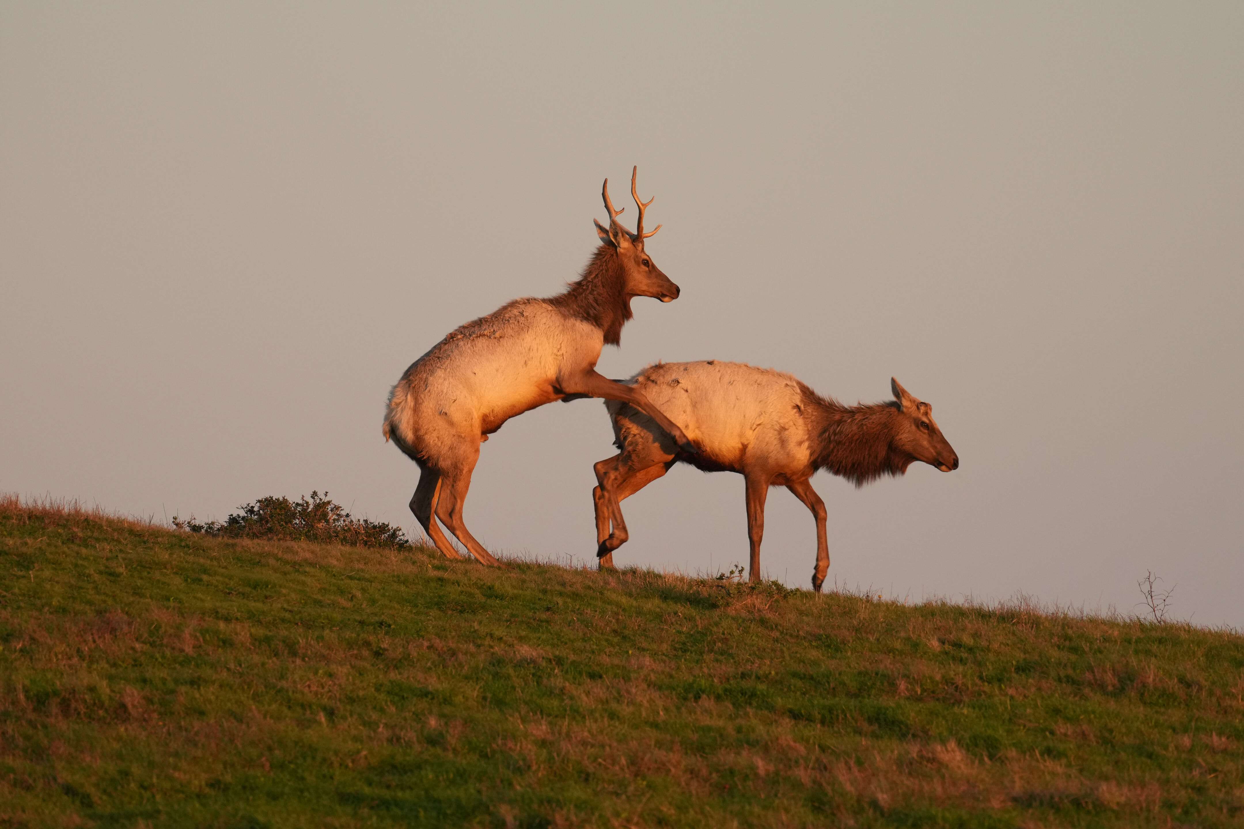 Point Reyes National Seashore - Historic Ranches