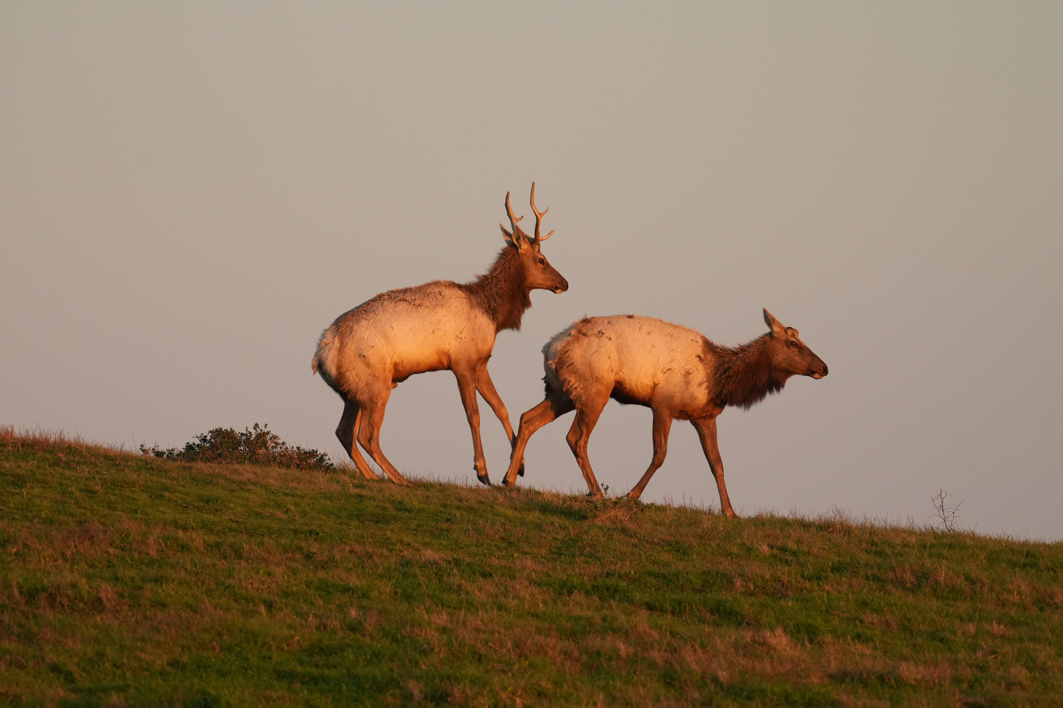 Point Reyes National Seashore - Historic Ranches