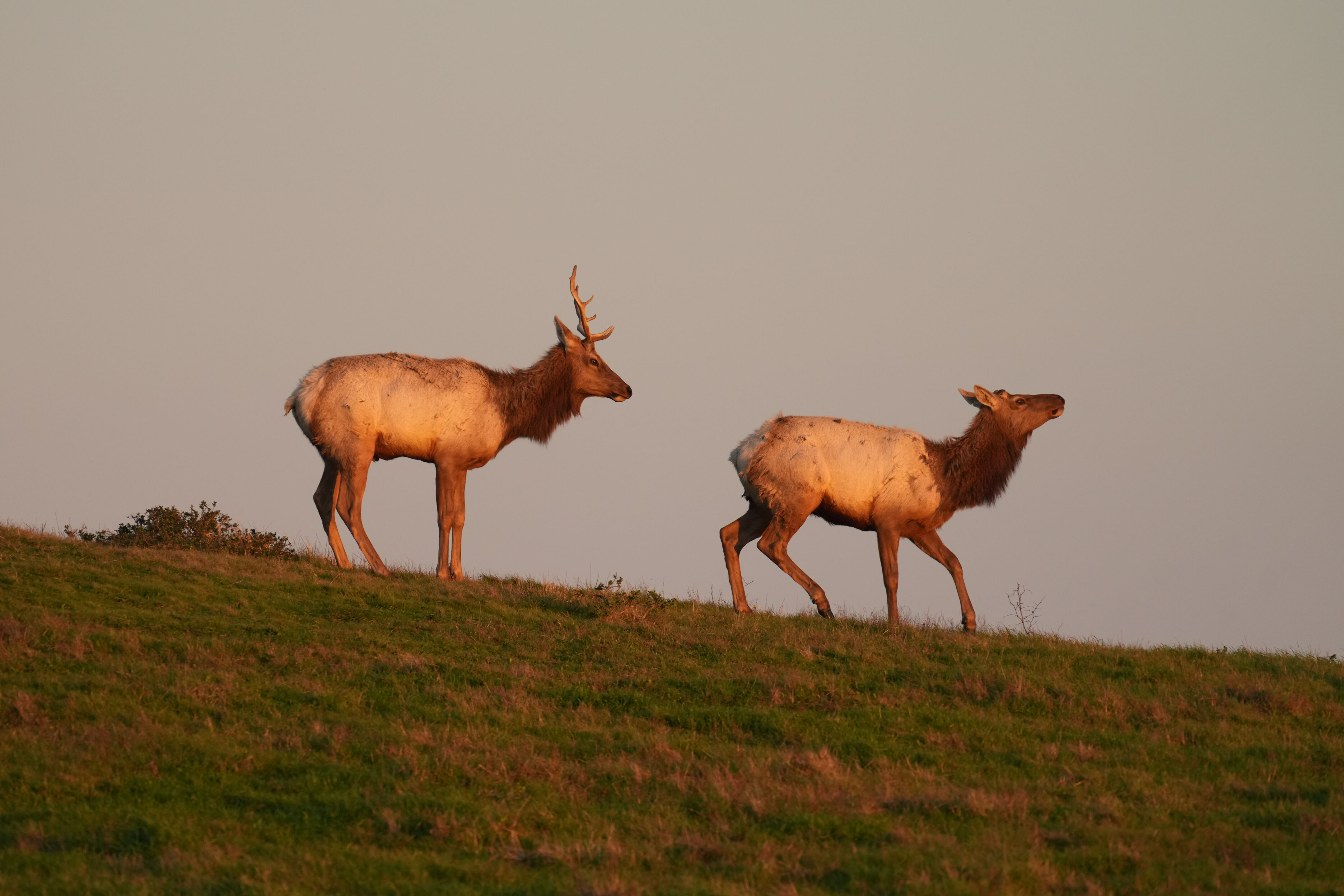 Point Reyes National Seashore - Historic Ranches