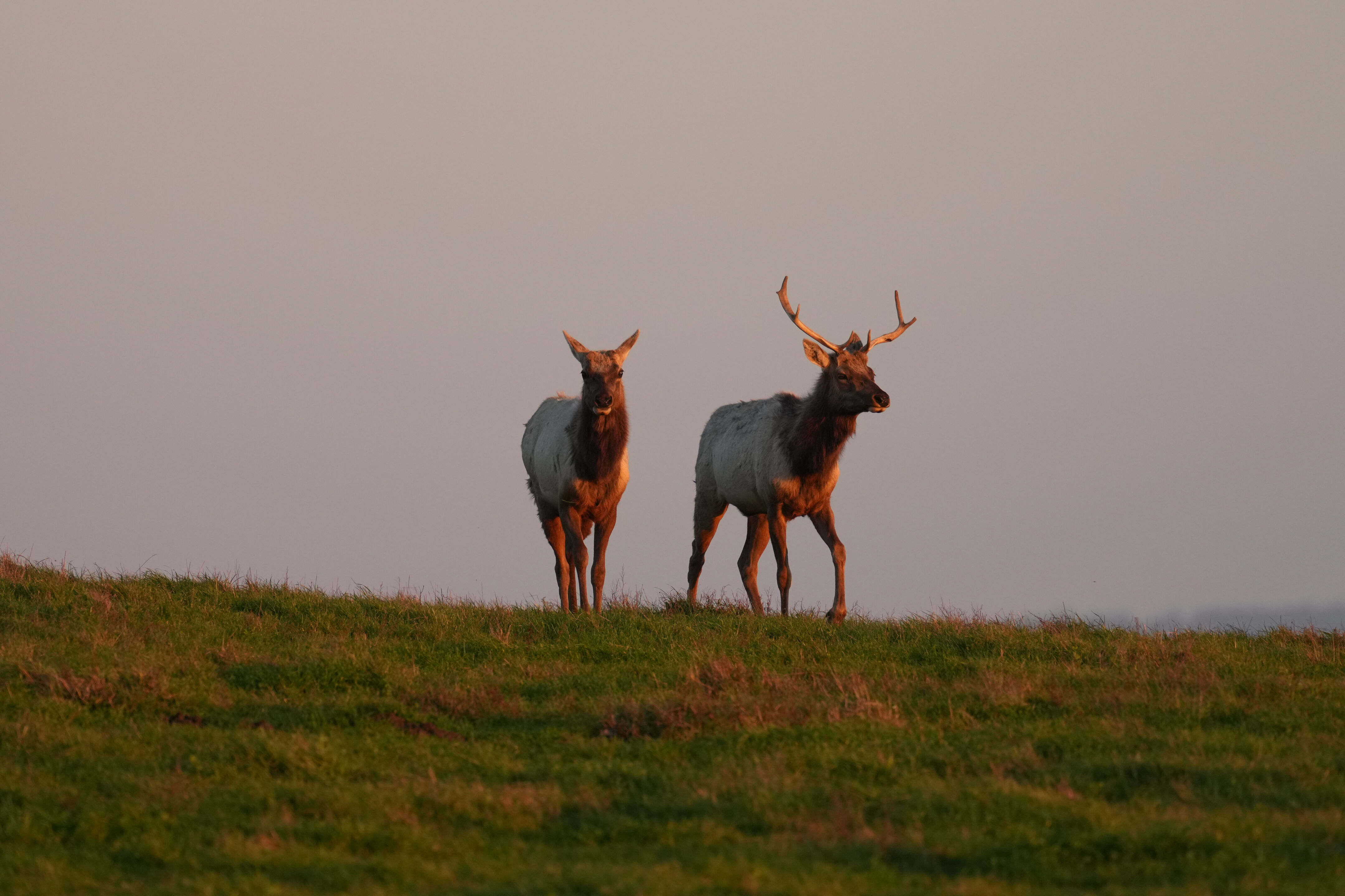 Point Reyes National Seashore - Historic Ranches