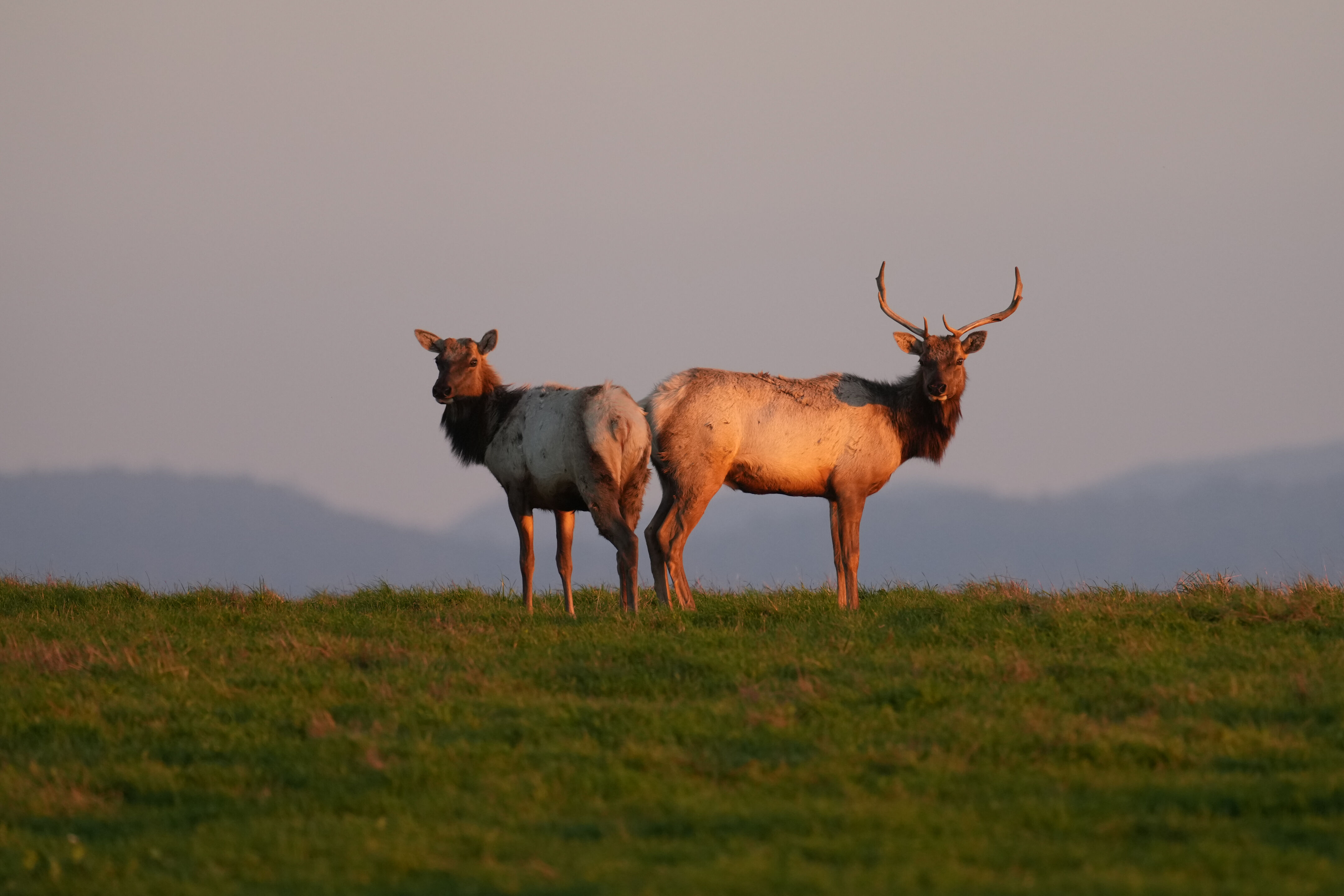 Point Reyes National Seashore - Historic Ranches