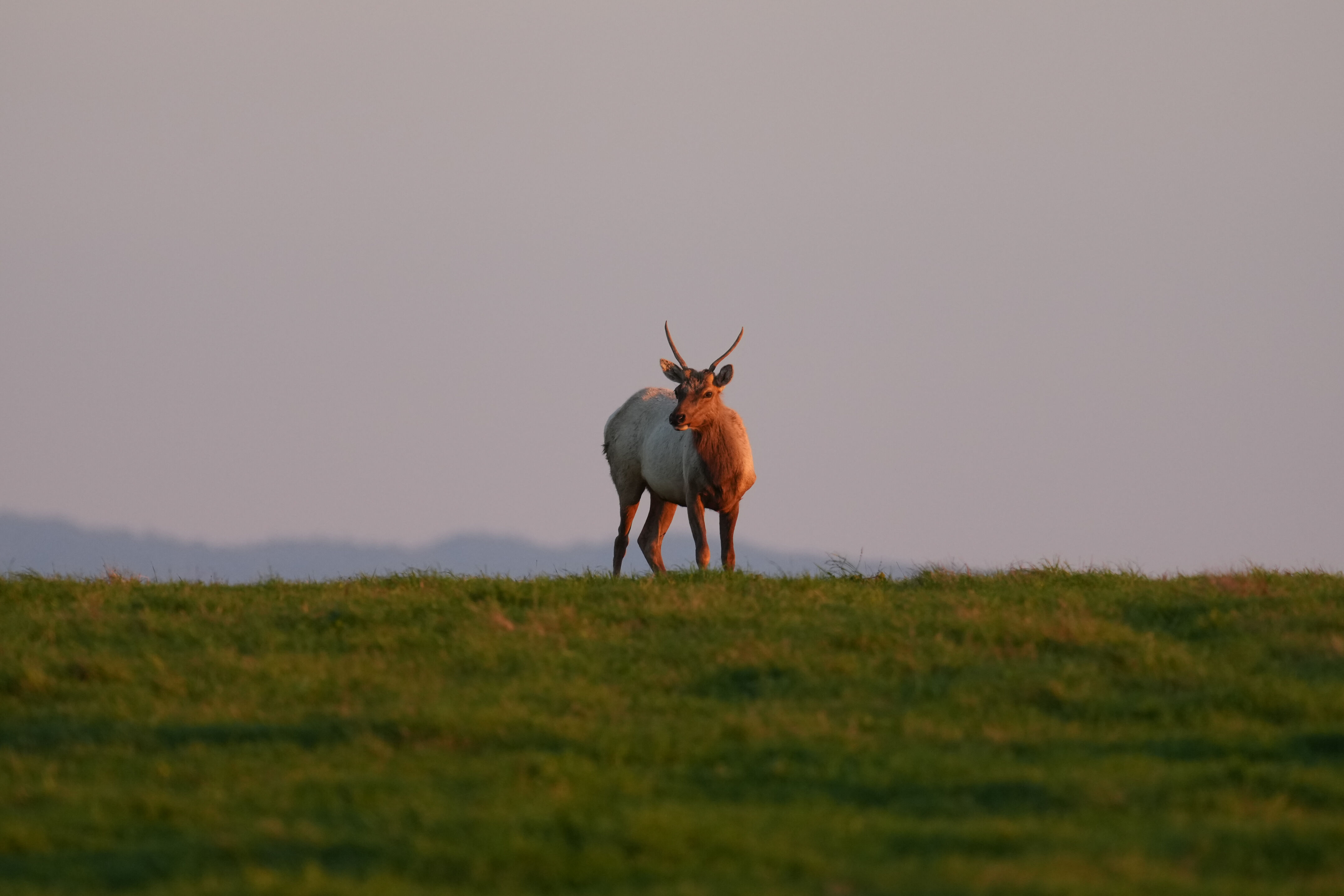 Point Reyes National Seashore - Historic Ranches