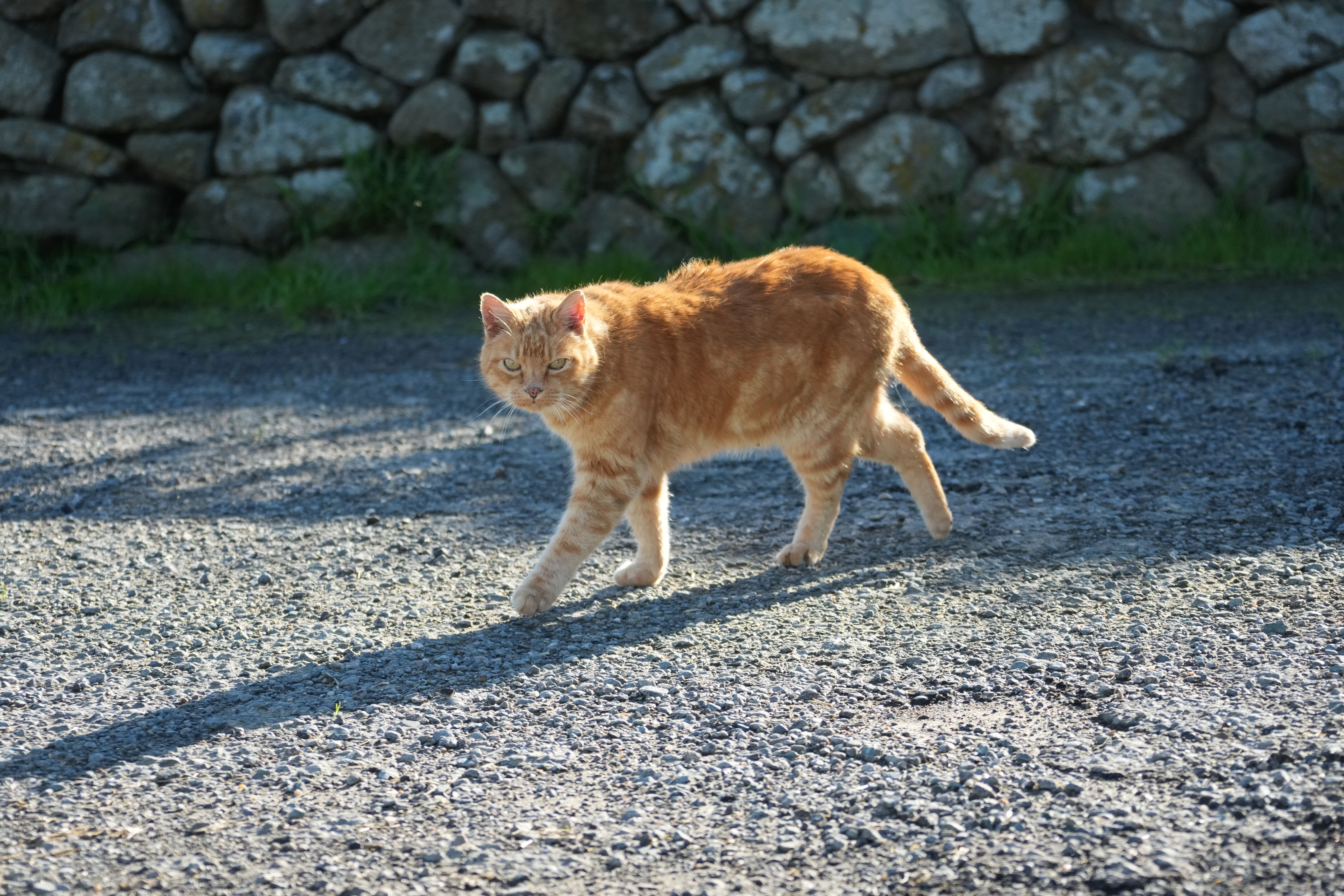 Point Reyes National Seashore - Historic Ranches