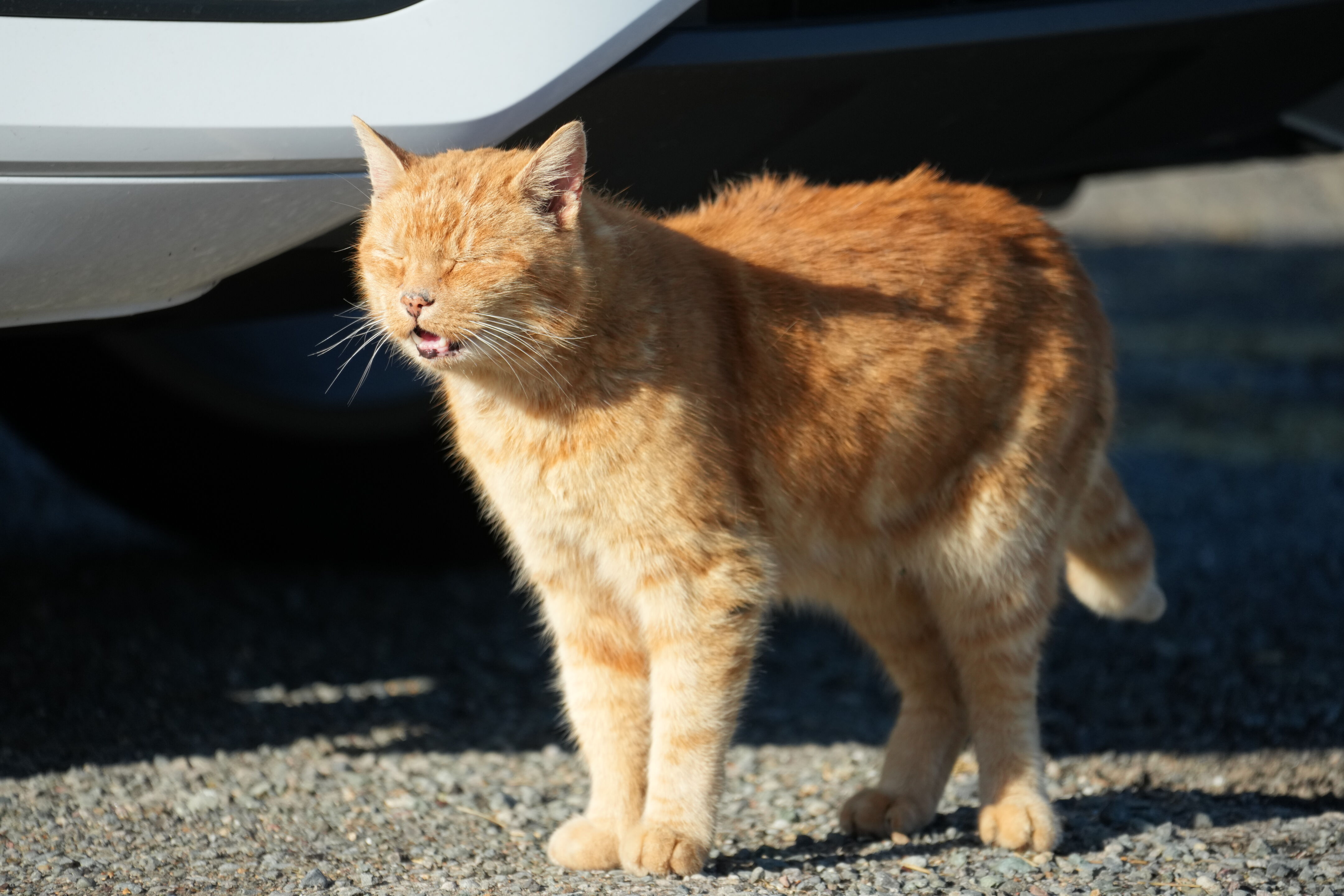 Point Reyes National Seashore - Historic Ranches