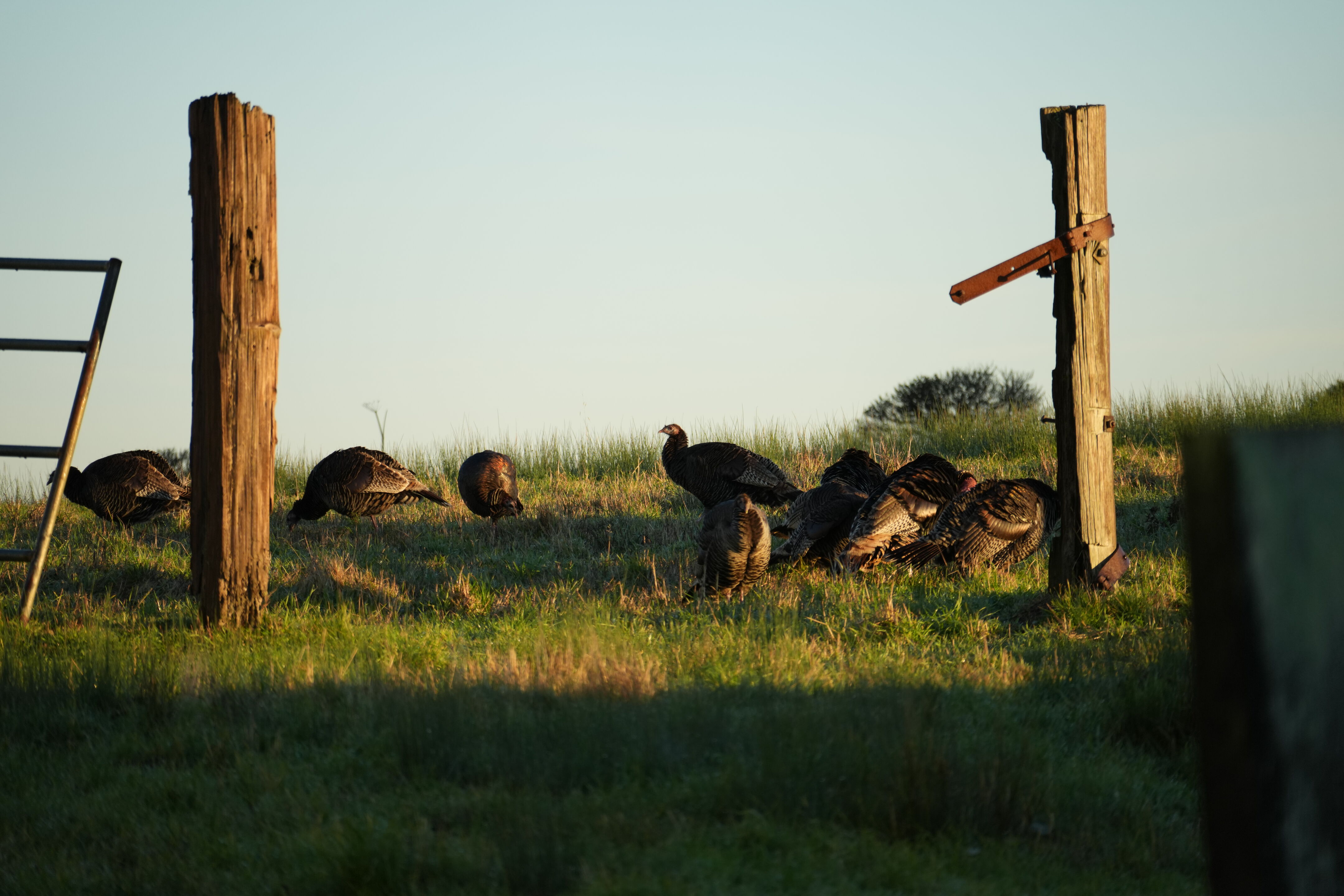 Point Reyes National Seashore - Tomales Point Trail