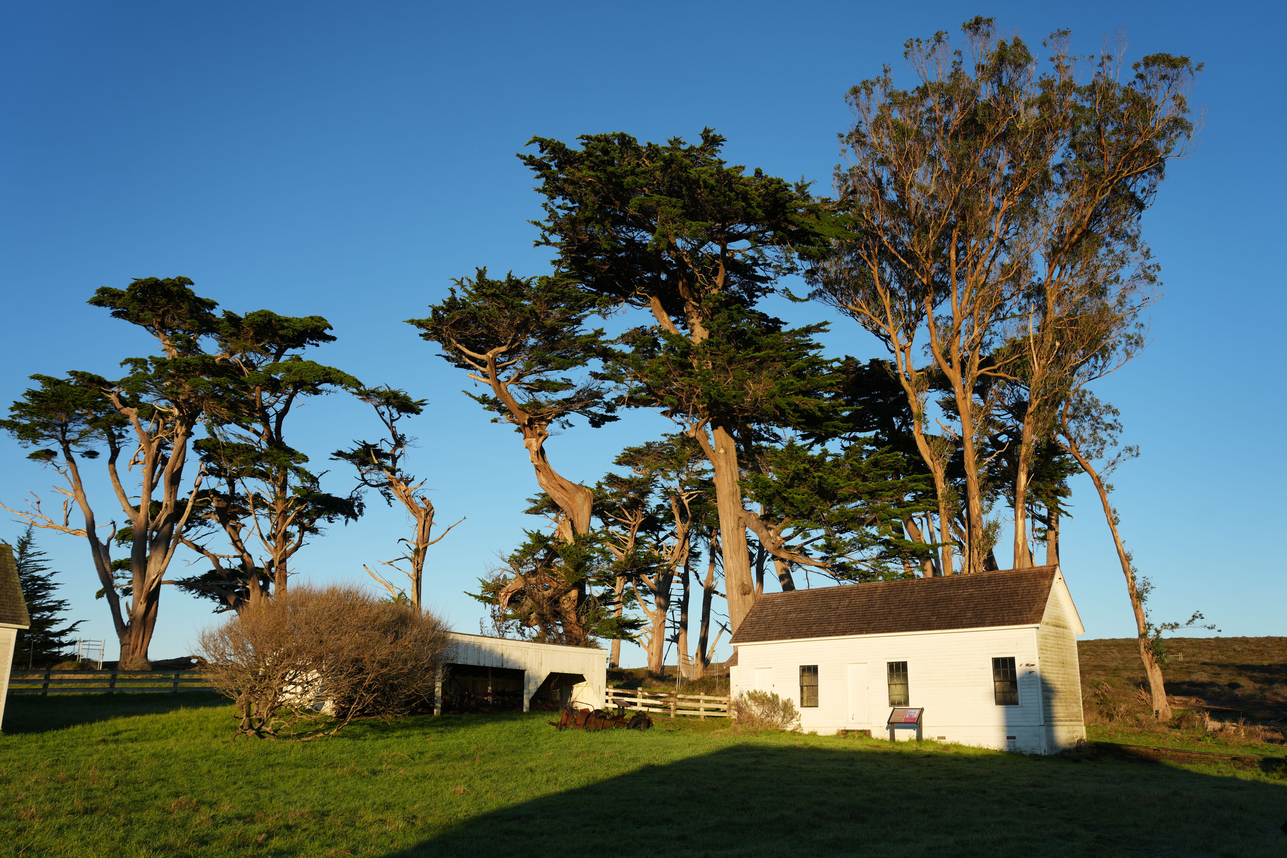Point Reyes National Seashore - Tomales Point Trail