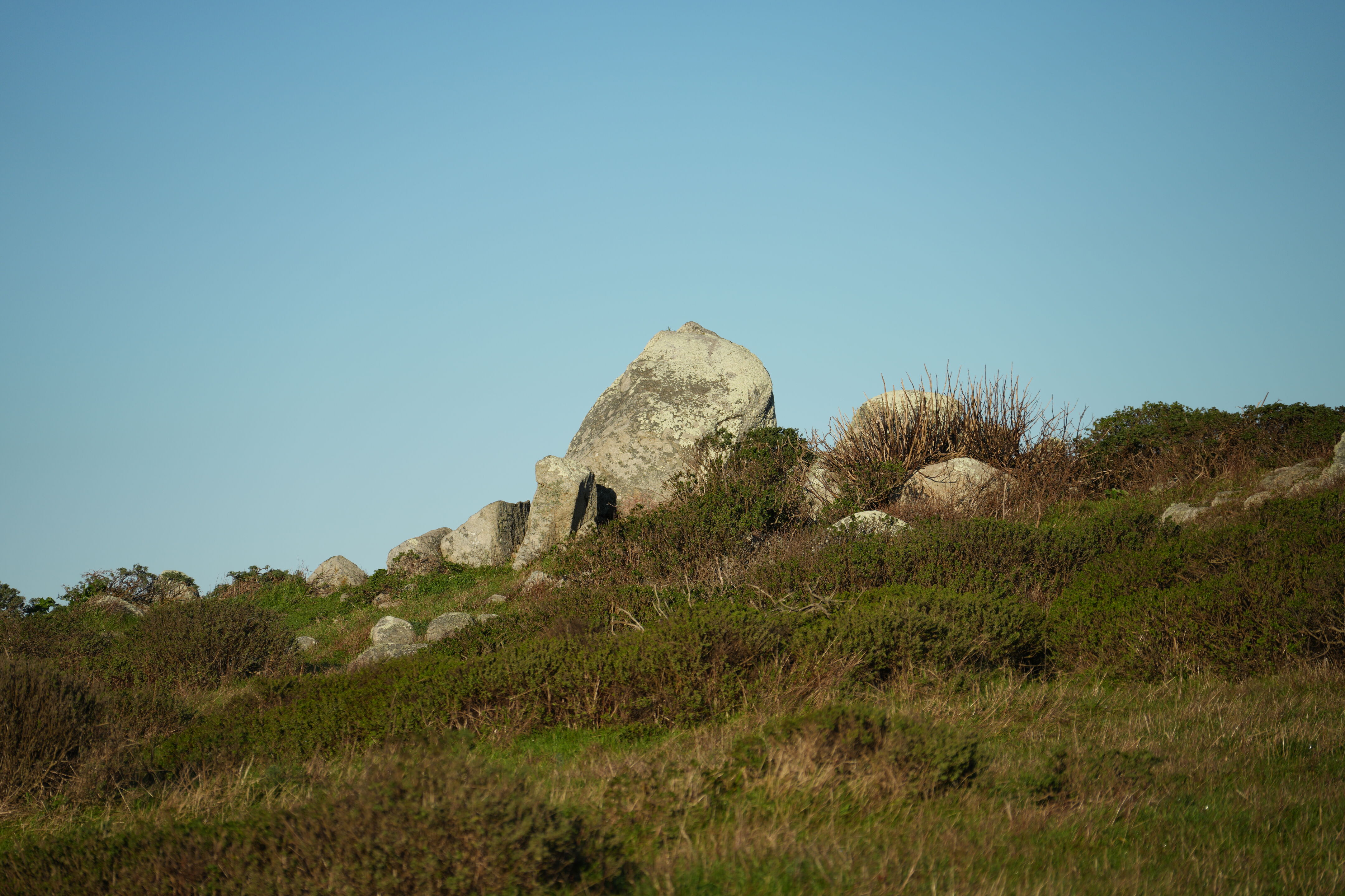 Point Reyes National Seashore - Tomales Point Trail