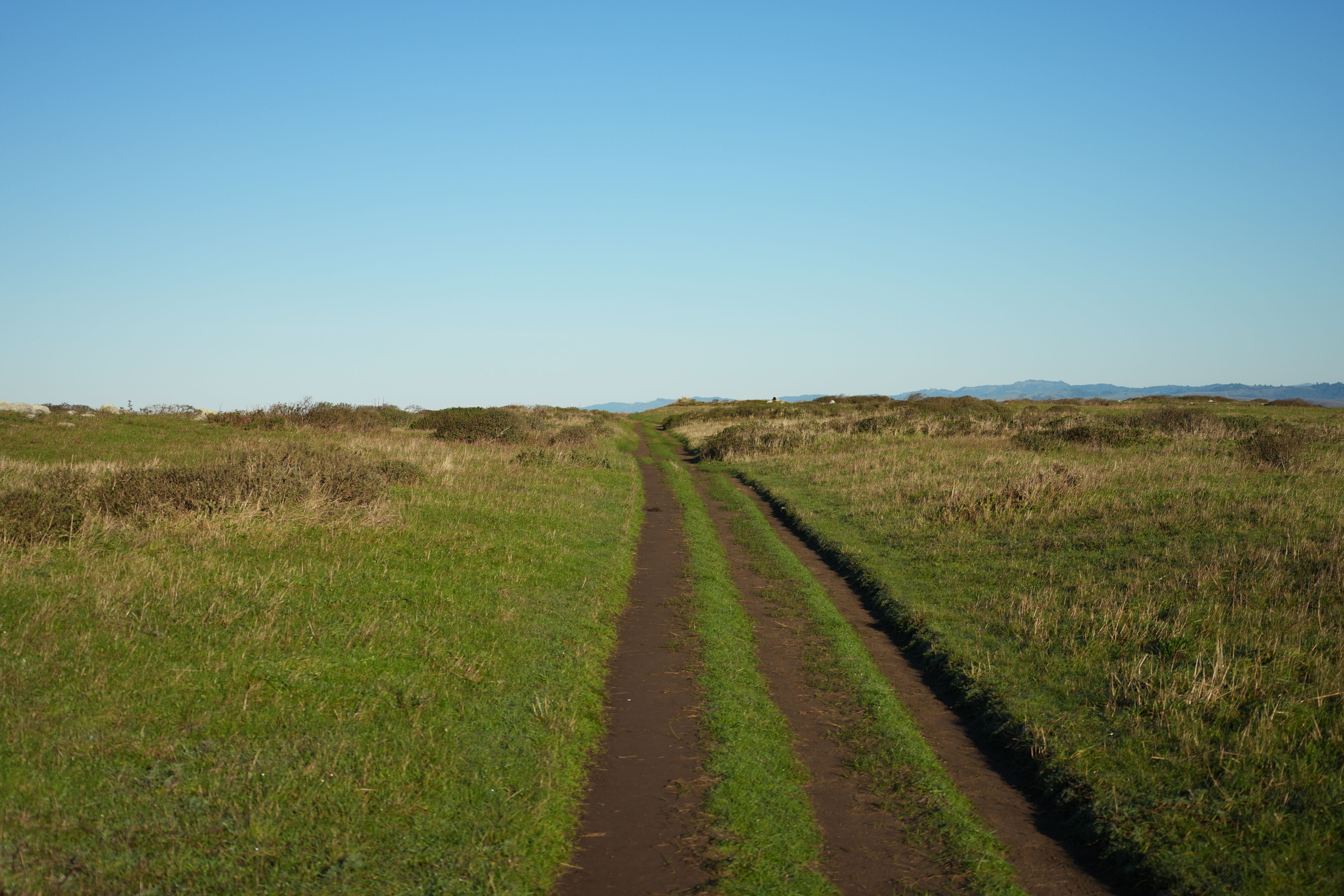 Point Reyes National Seashore - Tomales Point Trail
