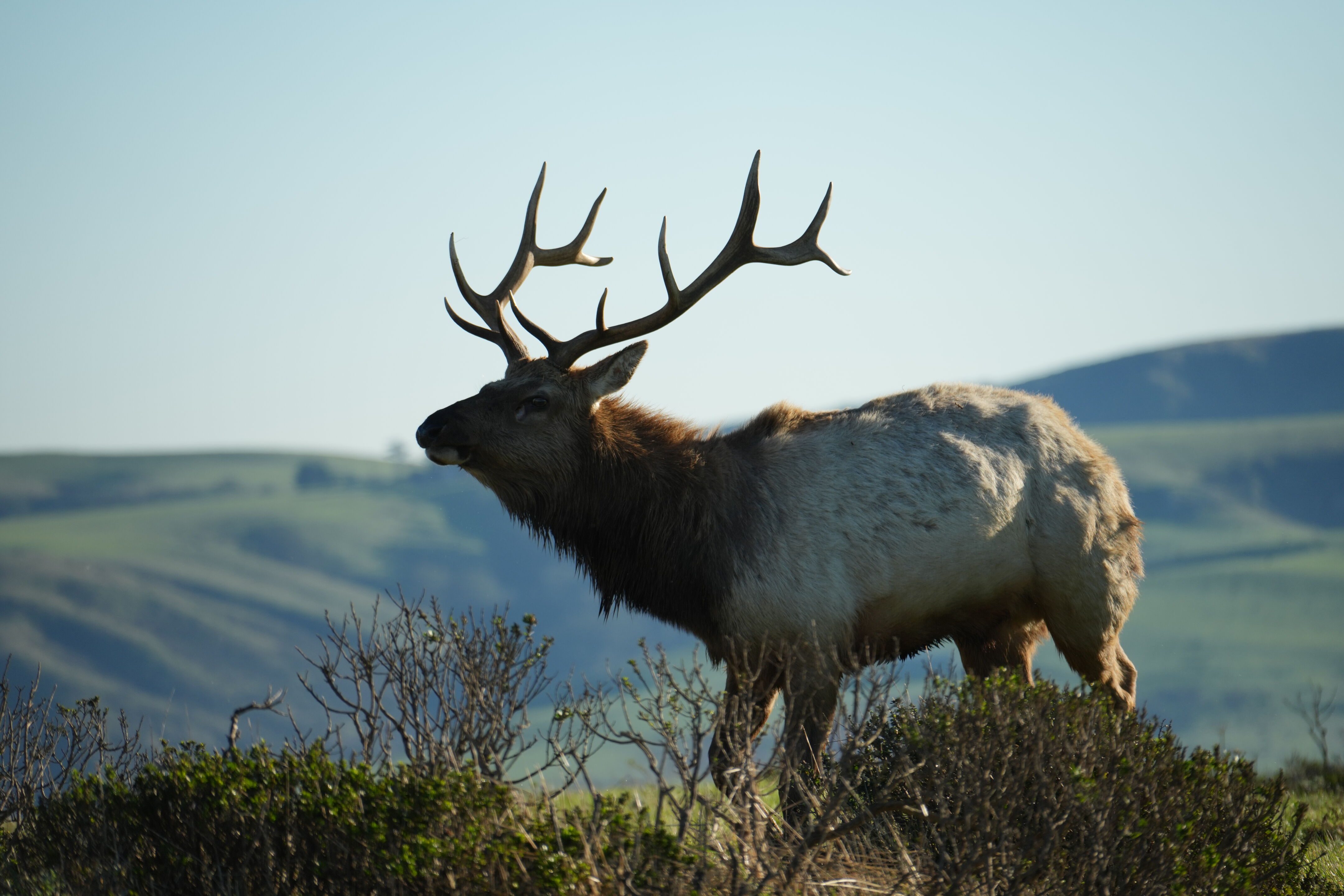 Point Reyes National Seashore - Tomales Point Trail
