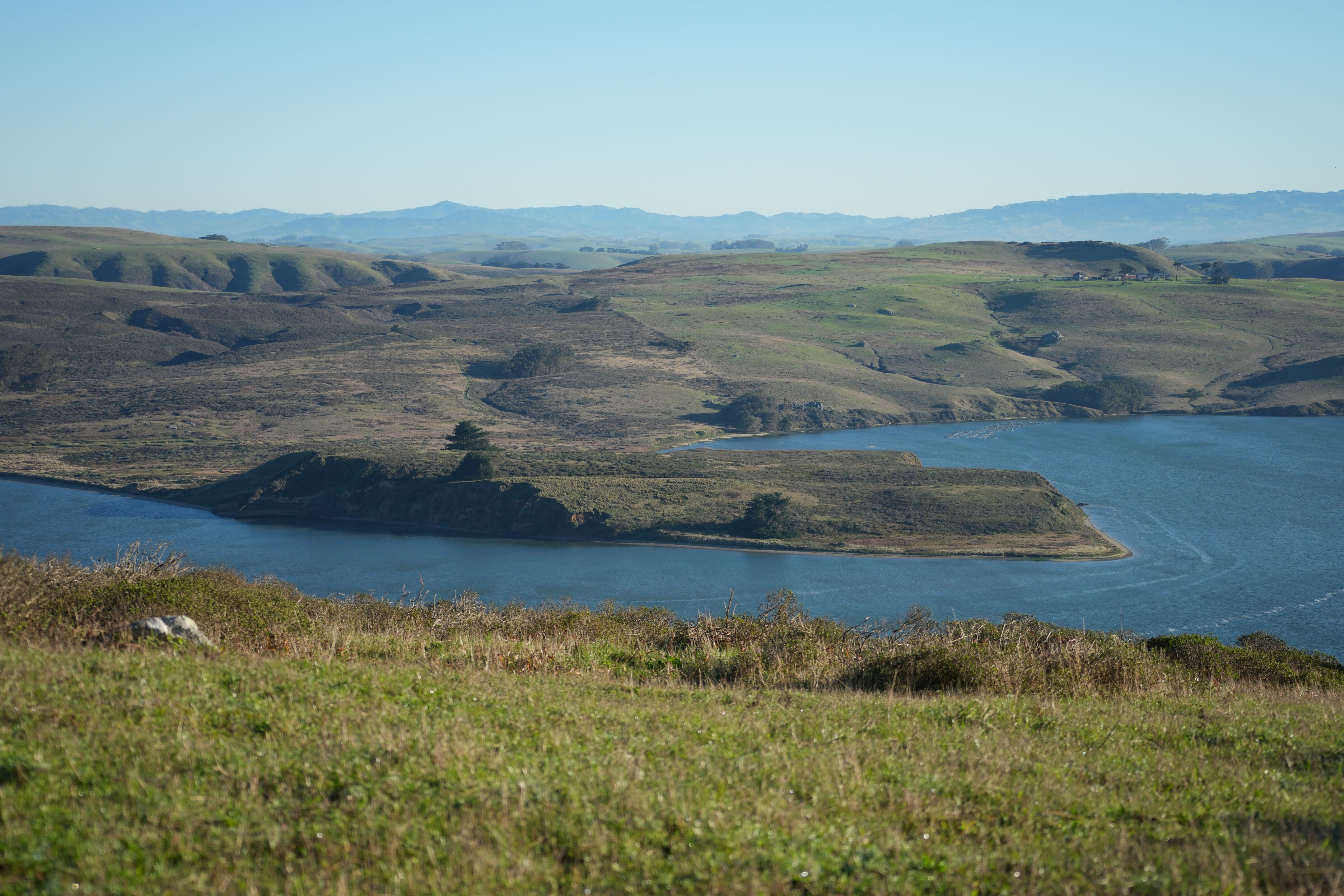 Point Reyes National Seashore - Tomales Point Trail