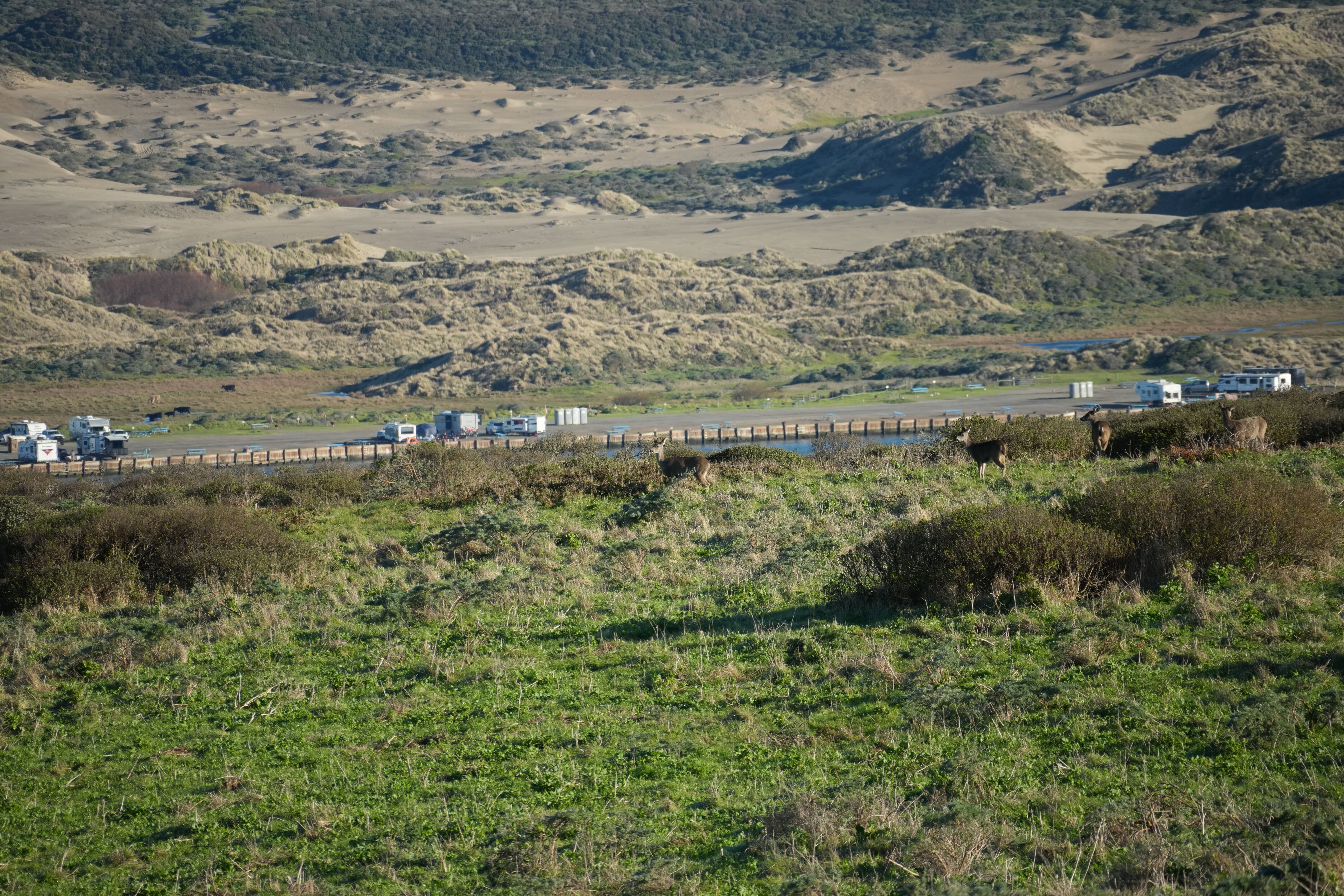 Point Reyes National Seashore - Tomales Point Trail