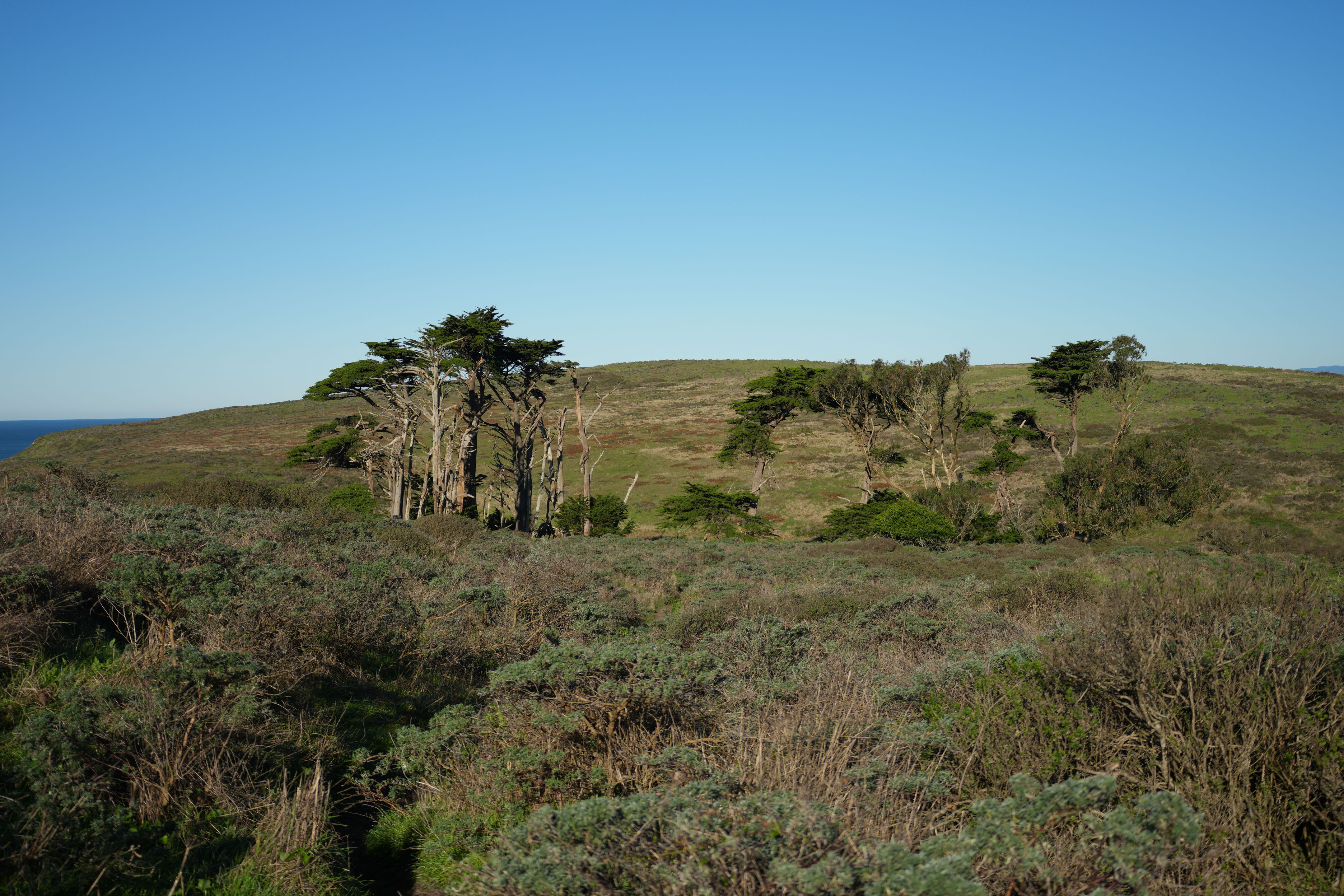 Point Reyes National Seashore - Tomales Point Trail