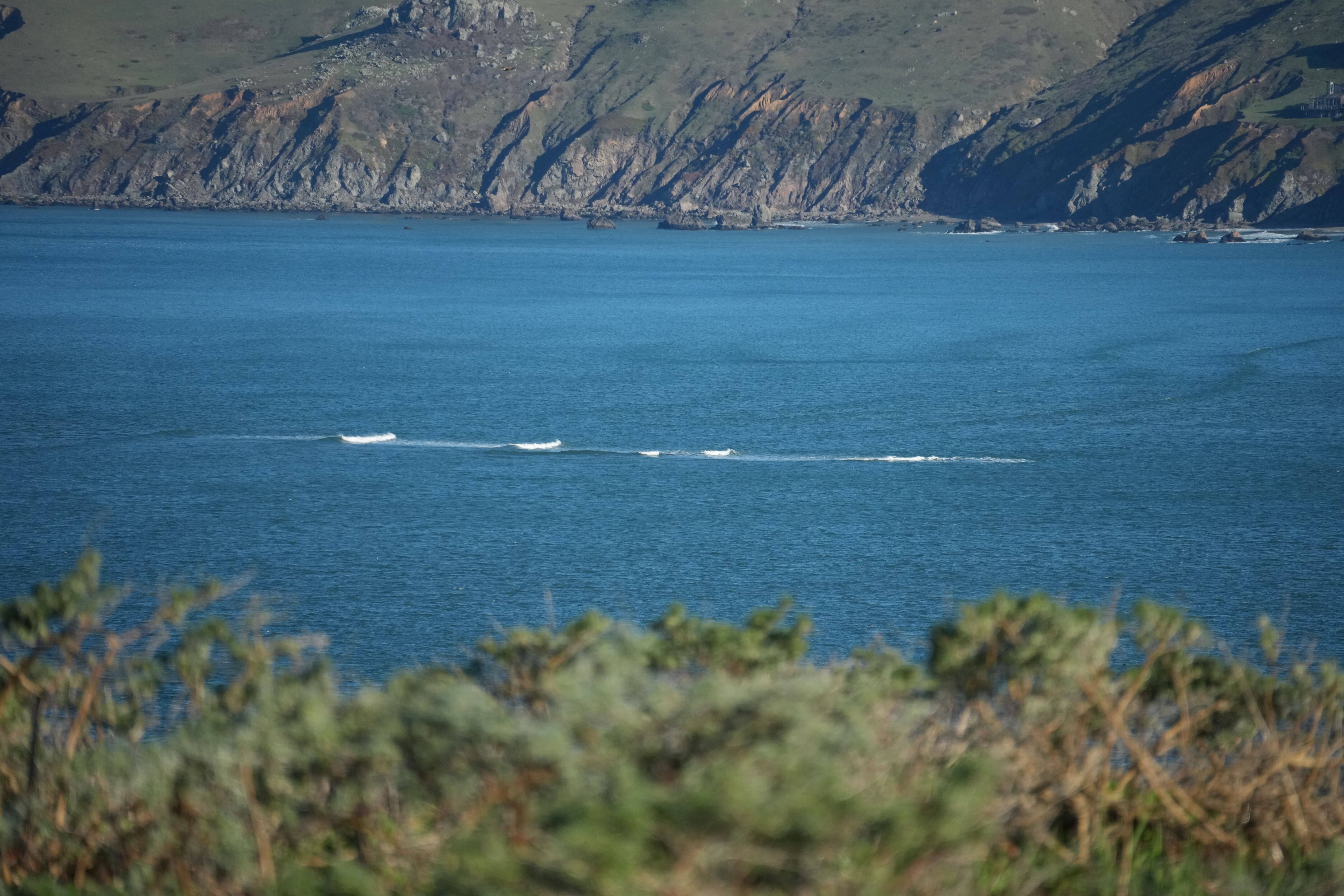 Point Reyes National Seashore - Tomales Point Trail