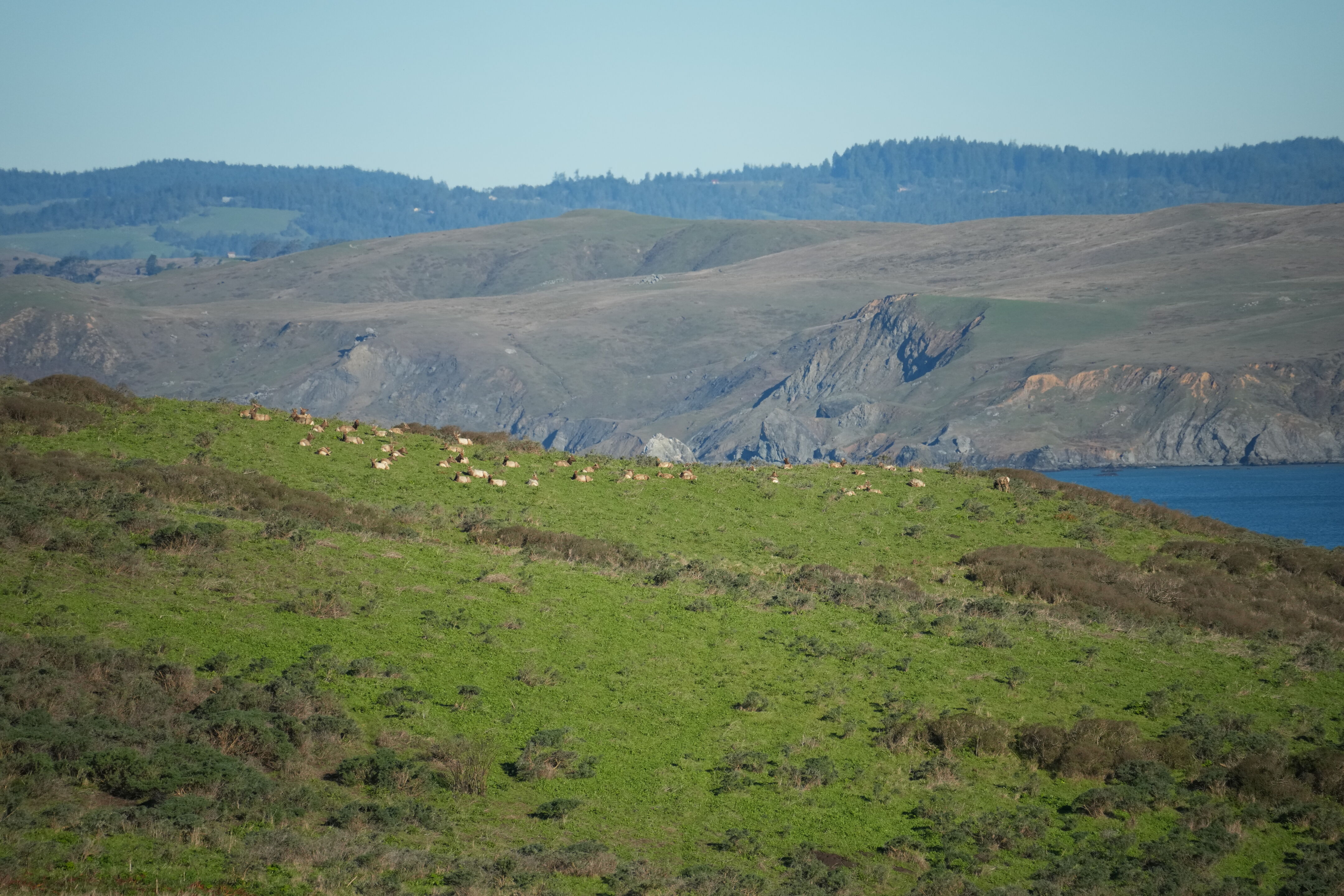 Point Reyes National Seashore - Tomales Point Trail