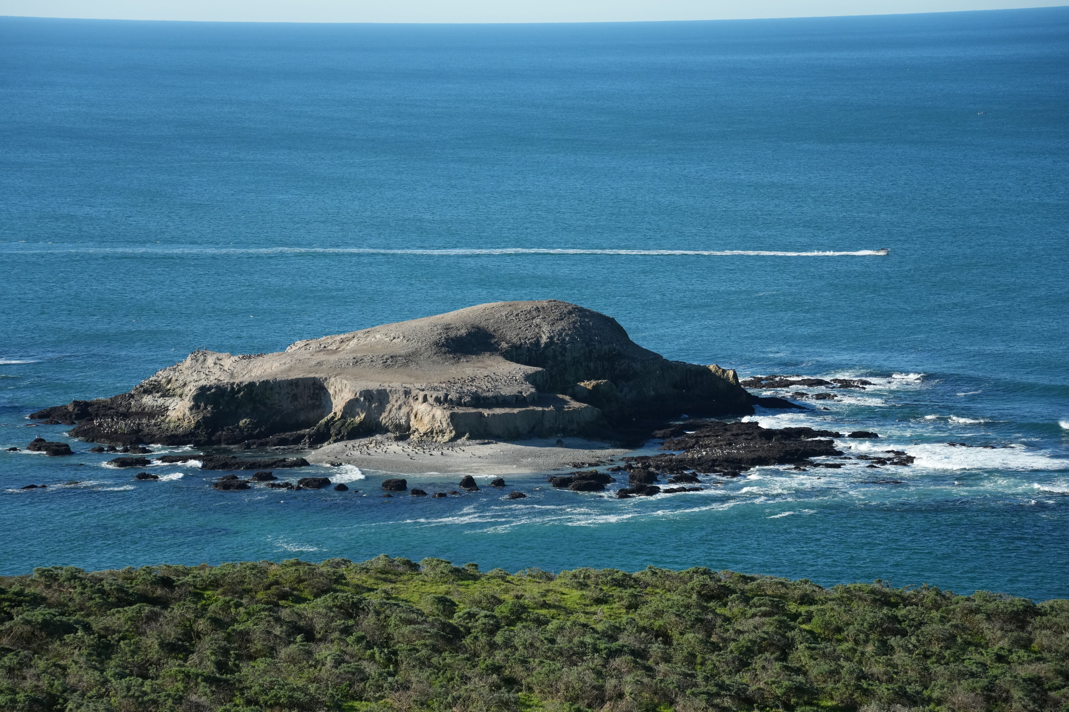 Point Reyes National Seashore - Tomales Point Trail