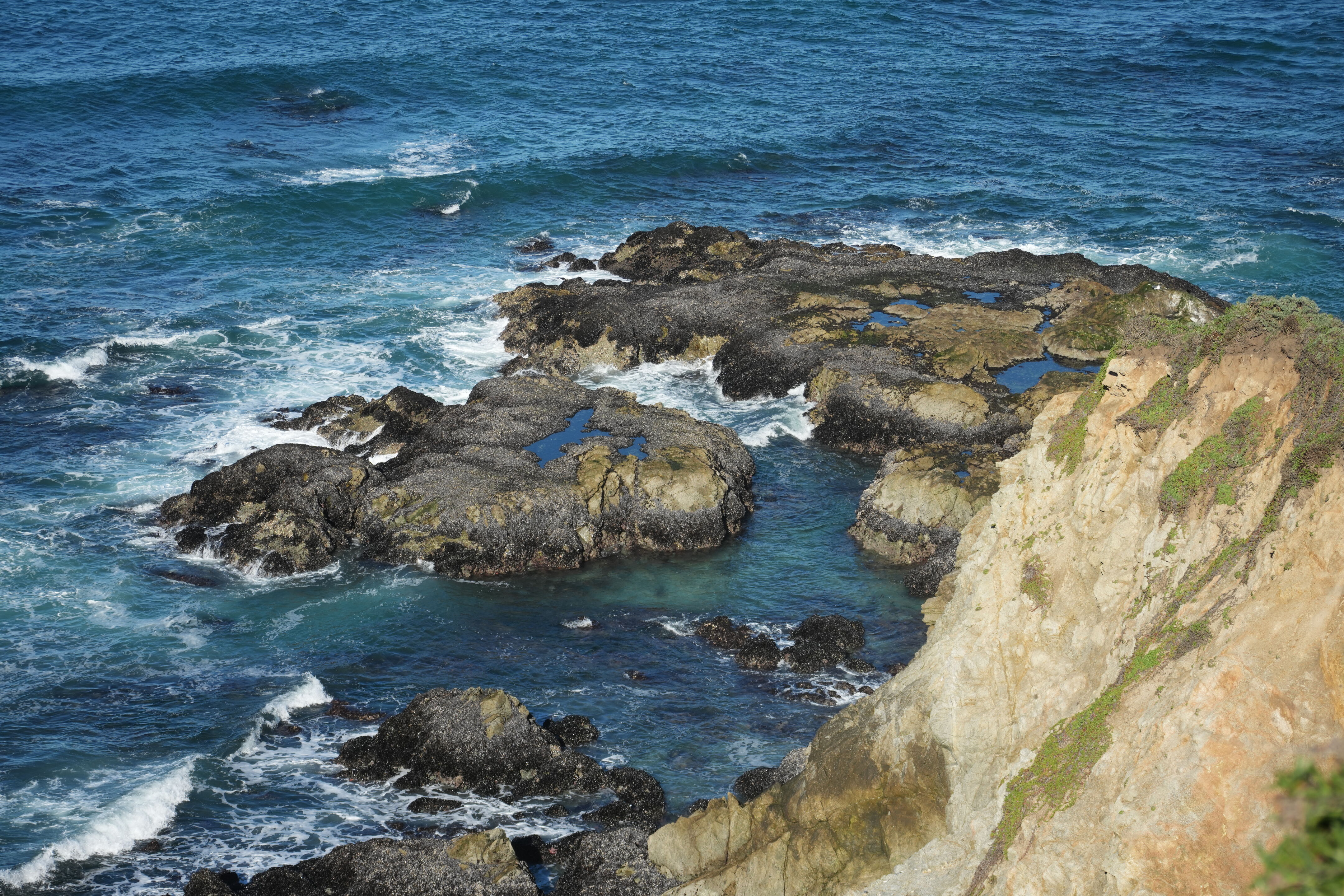 Point Reyes National Seashore - Tomales Point Trail