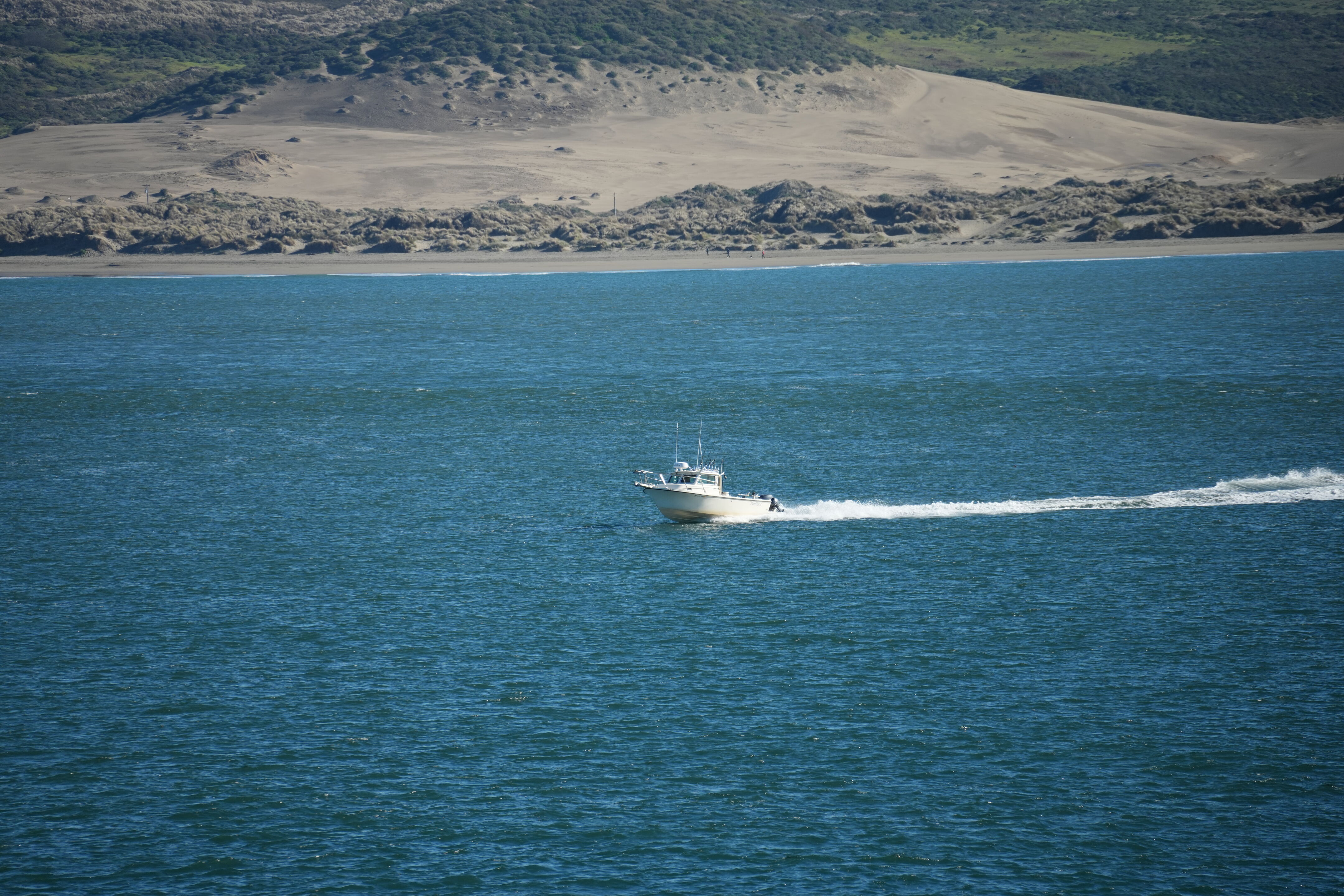 Point Reyes National Seashore - Tomales Point Trail