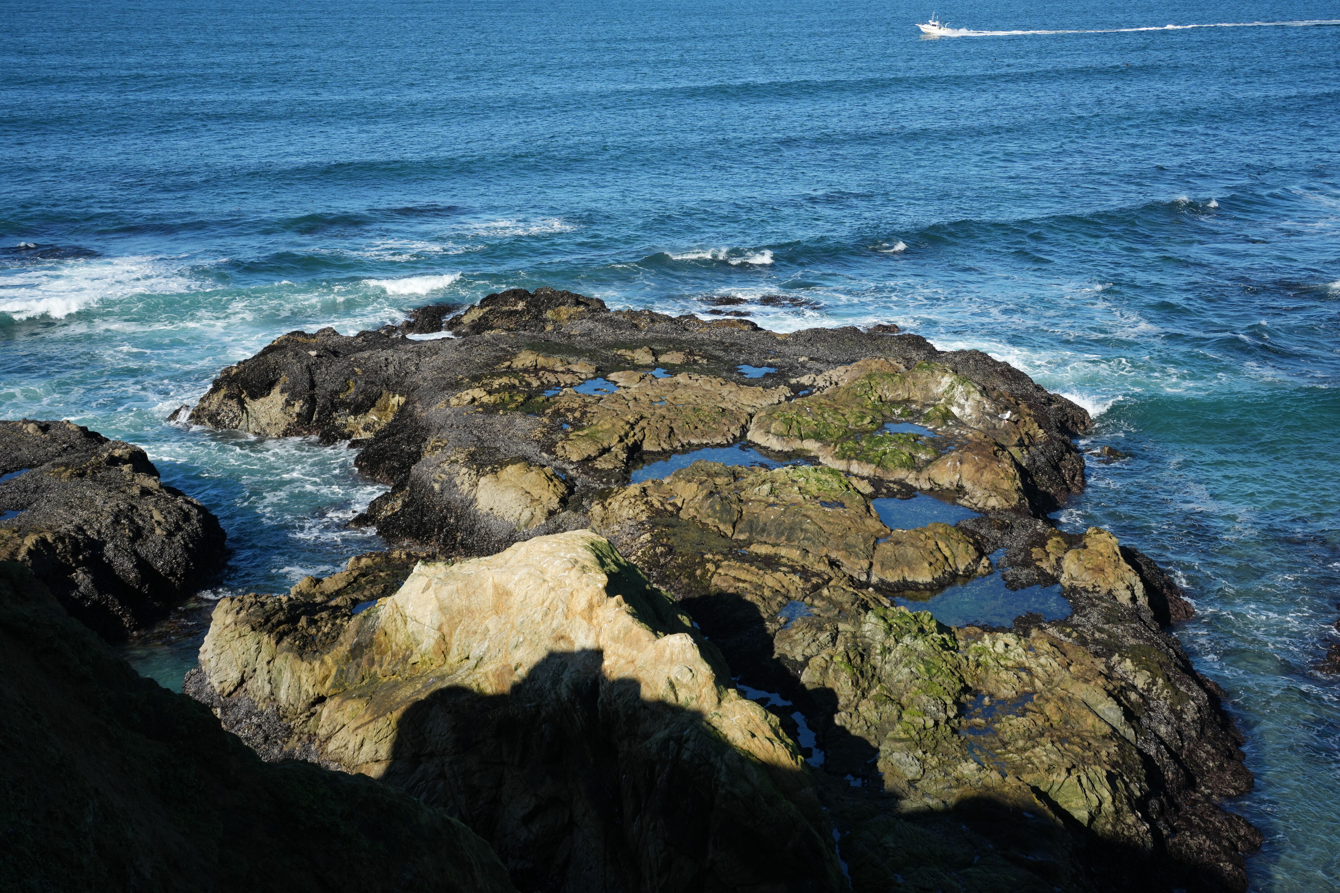 Point Reyes National Seashore - Tomales Point Trail