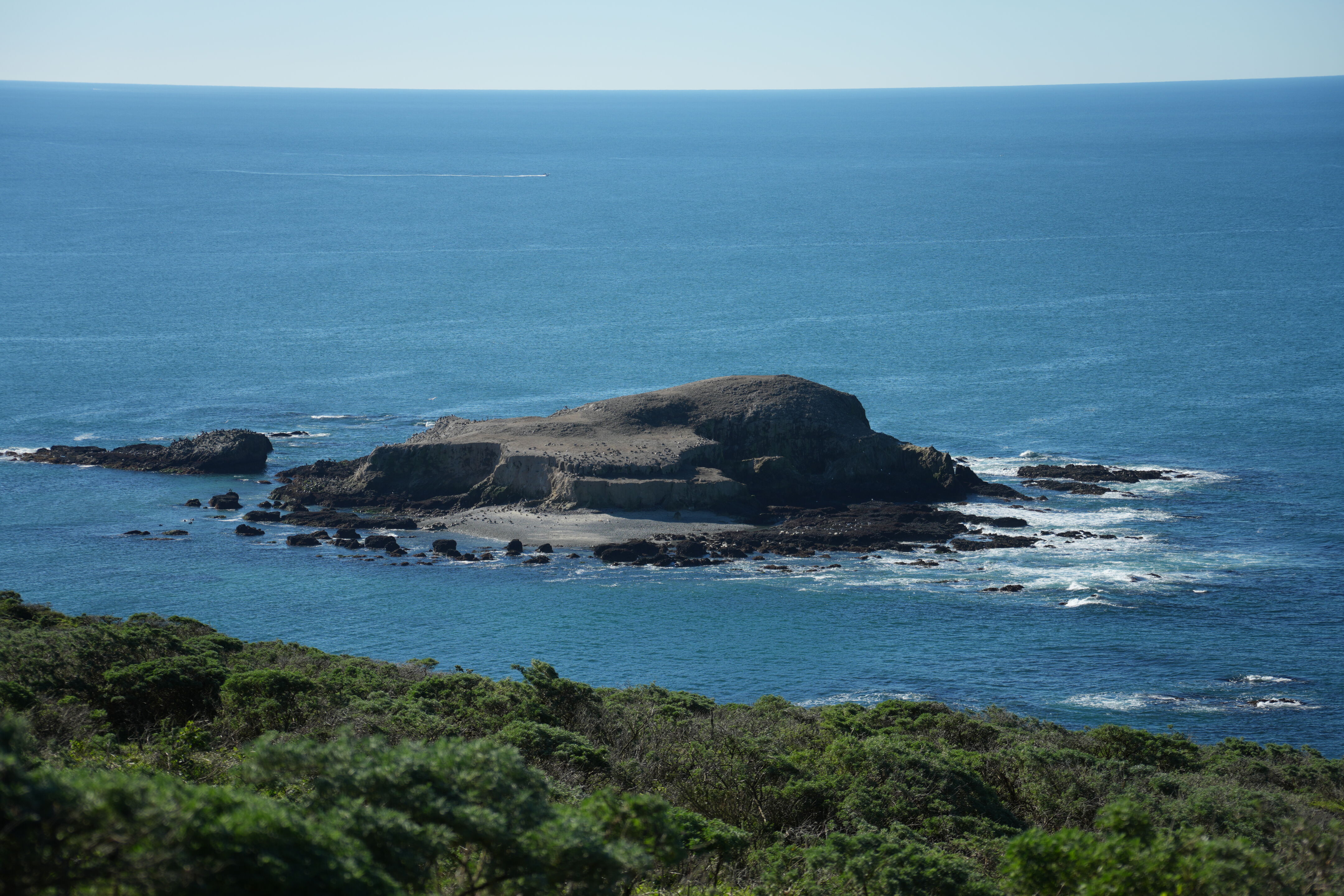Point Reyes National Seashore - Tomales Point Trail