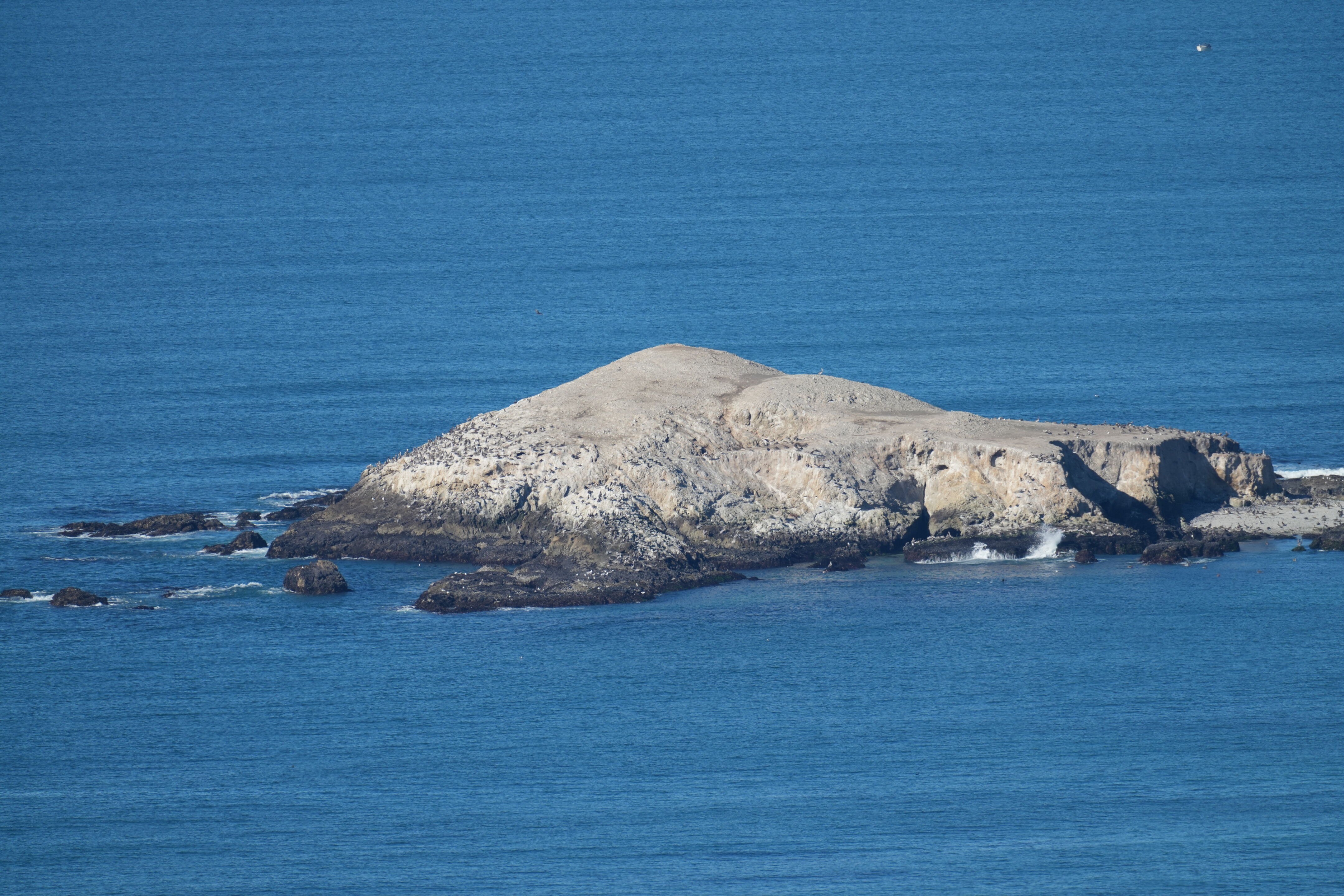 Point Reyes National Seashore - Tomales Point Trail
