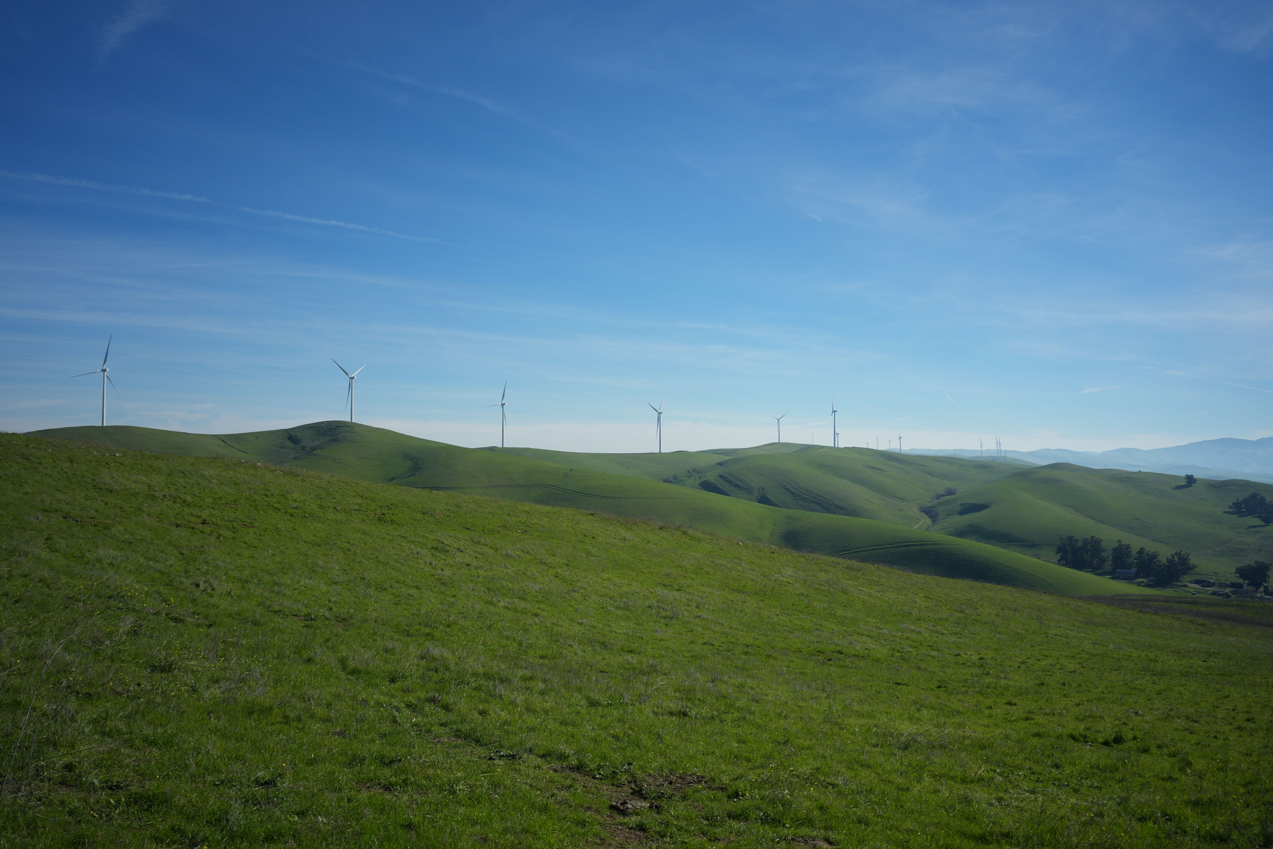 Brushy Peak Regional Preserve