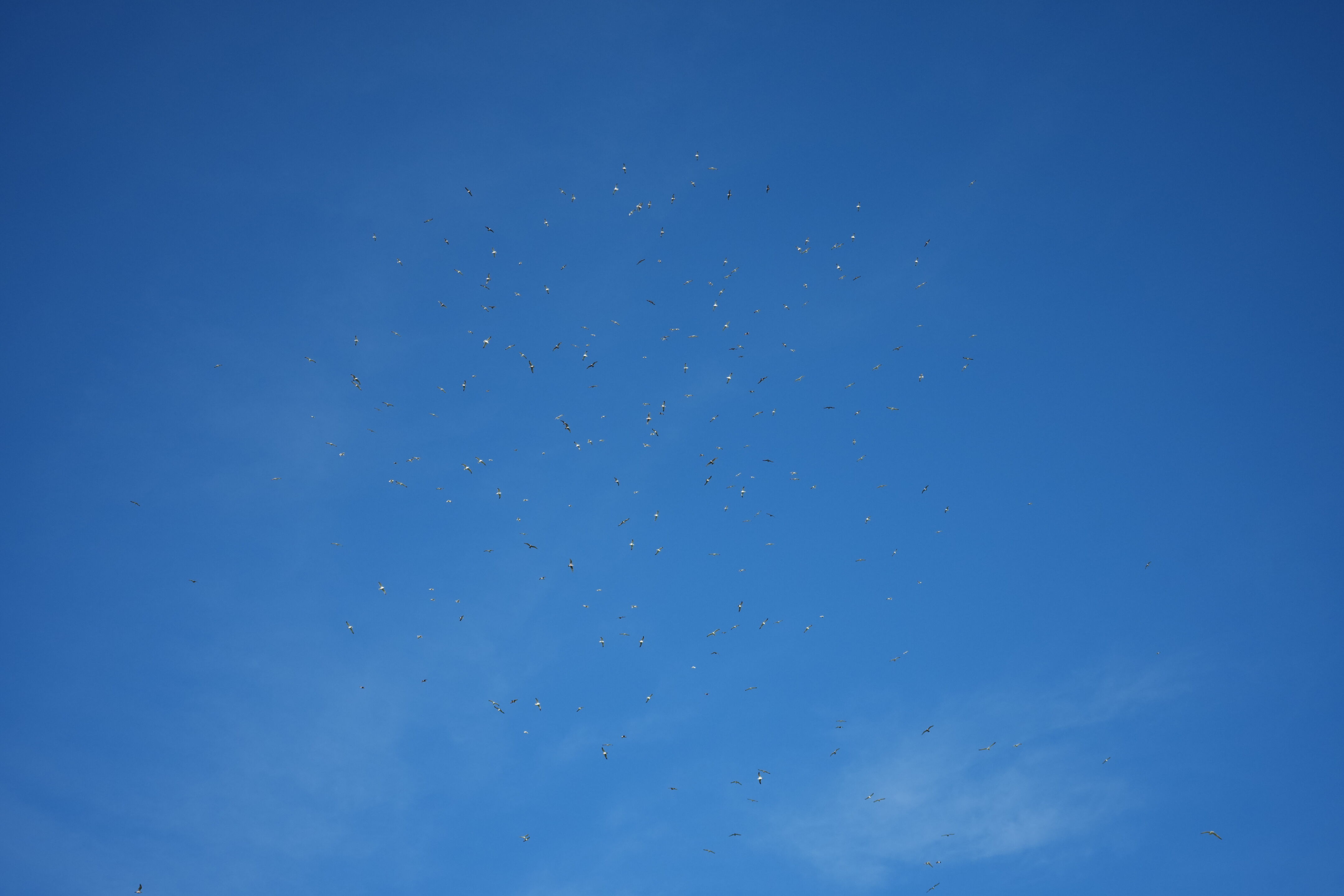 Brushy Peak Regional Preserve