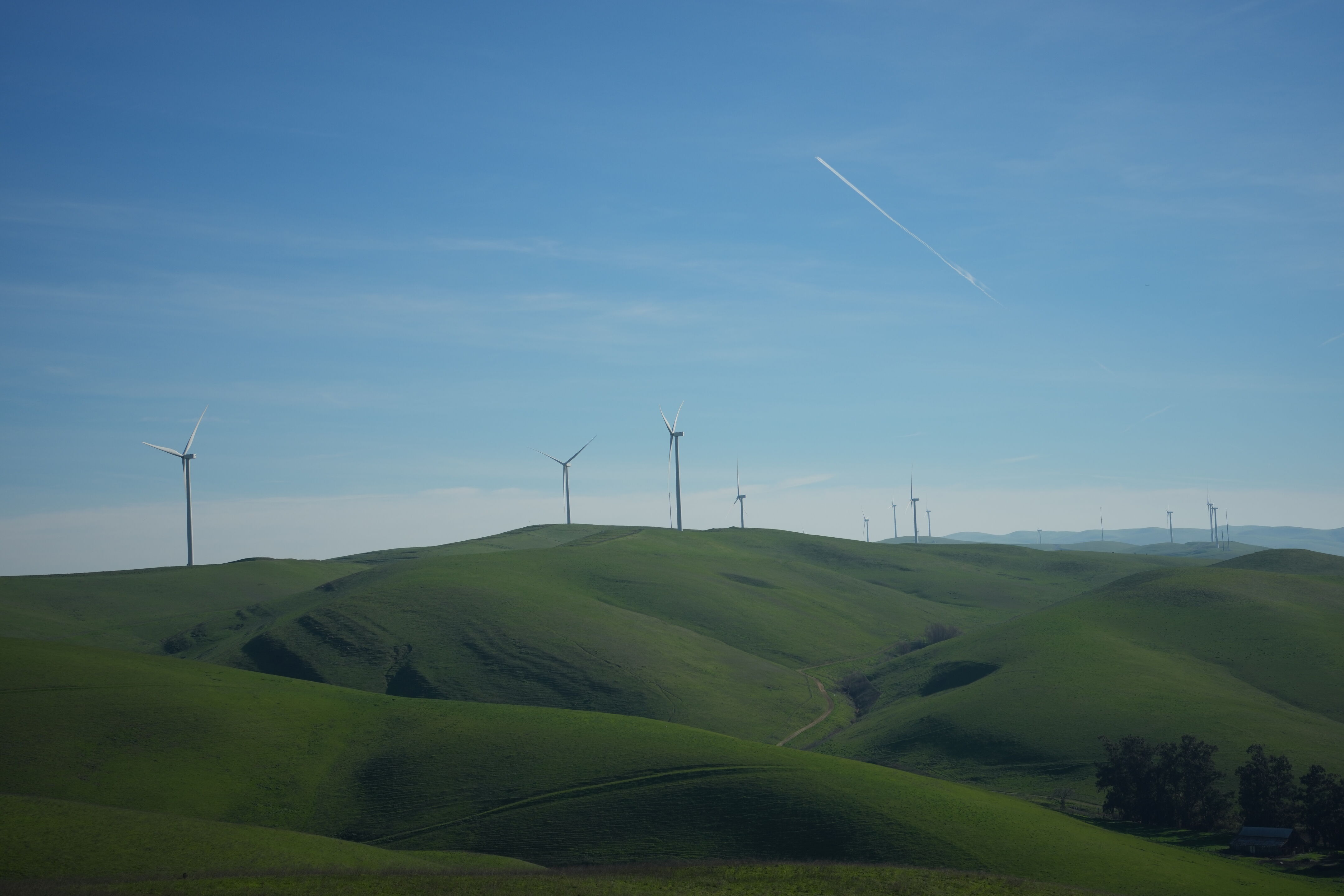 Brushy Peak Regional Preserve