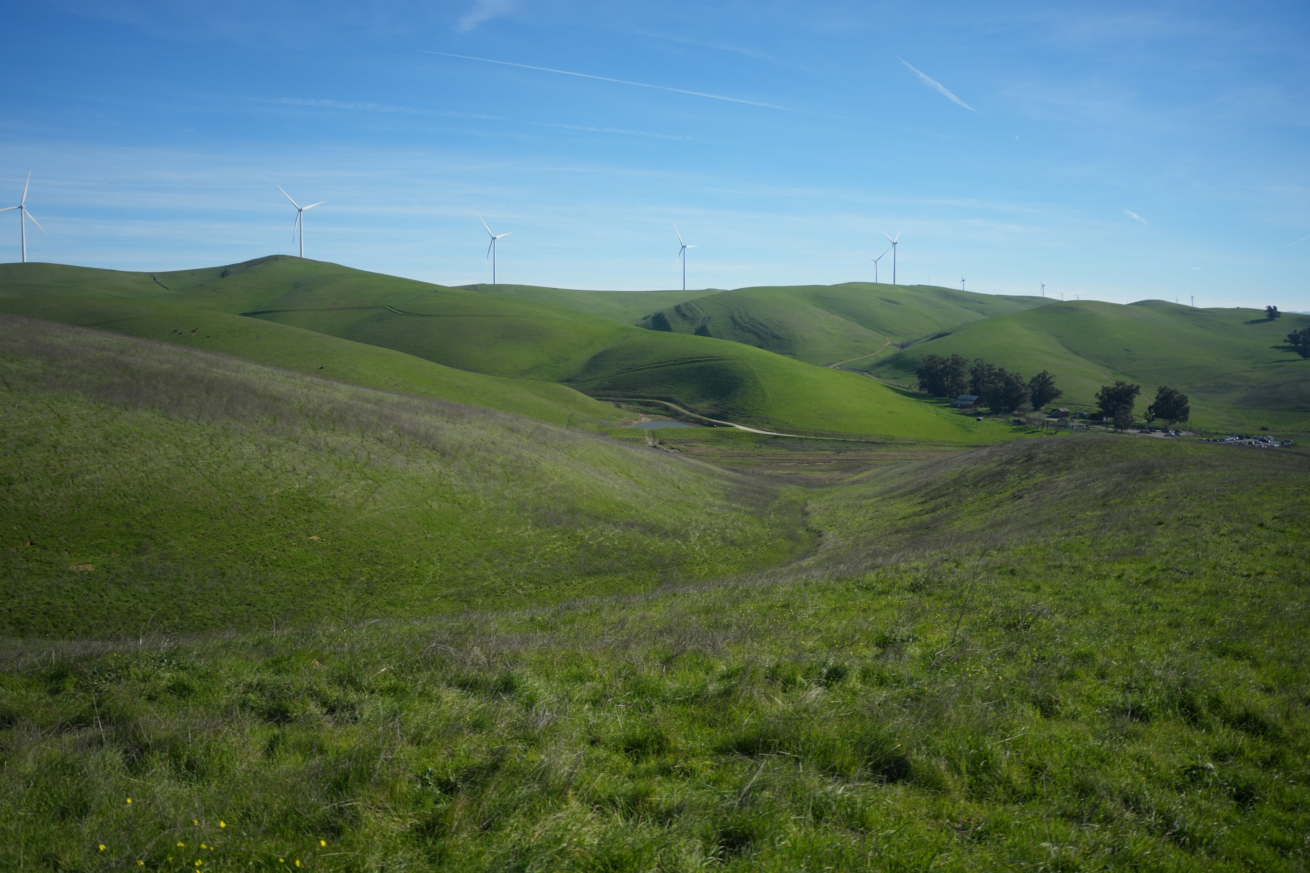 Brushy Peak Regional Preserve