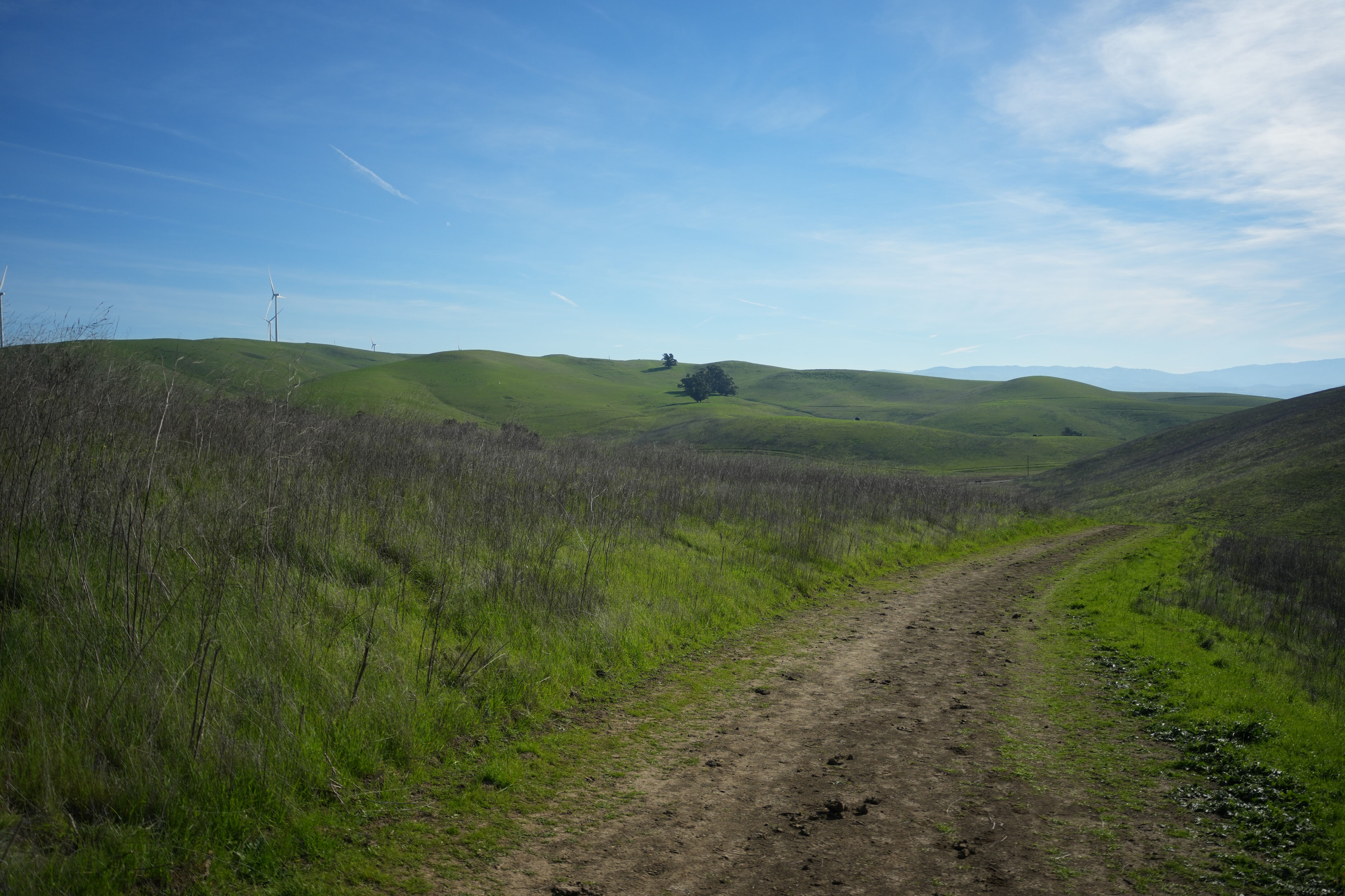 Brushy Peak Regional Preserve