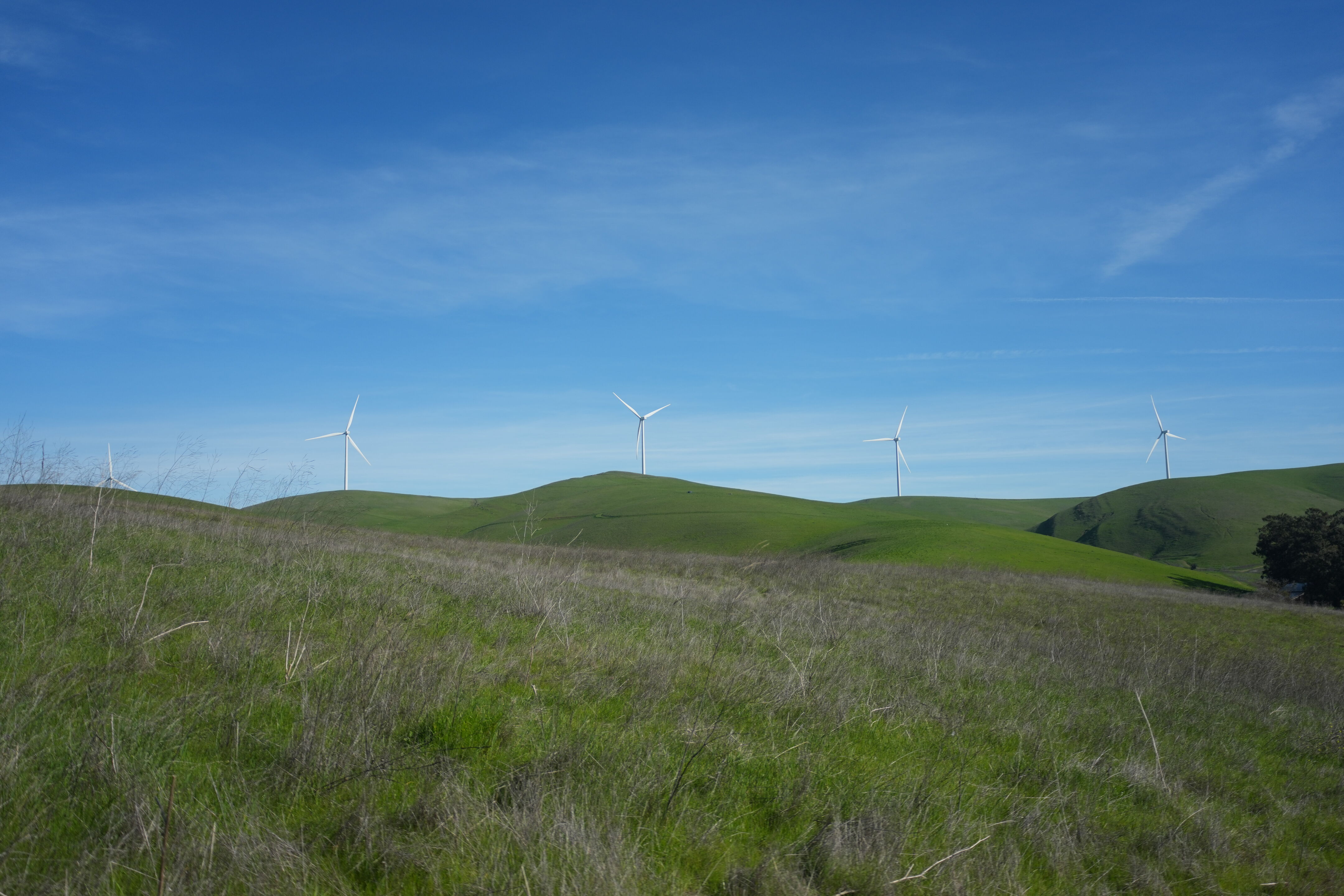 Brushy Peak Regional Preserve