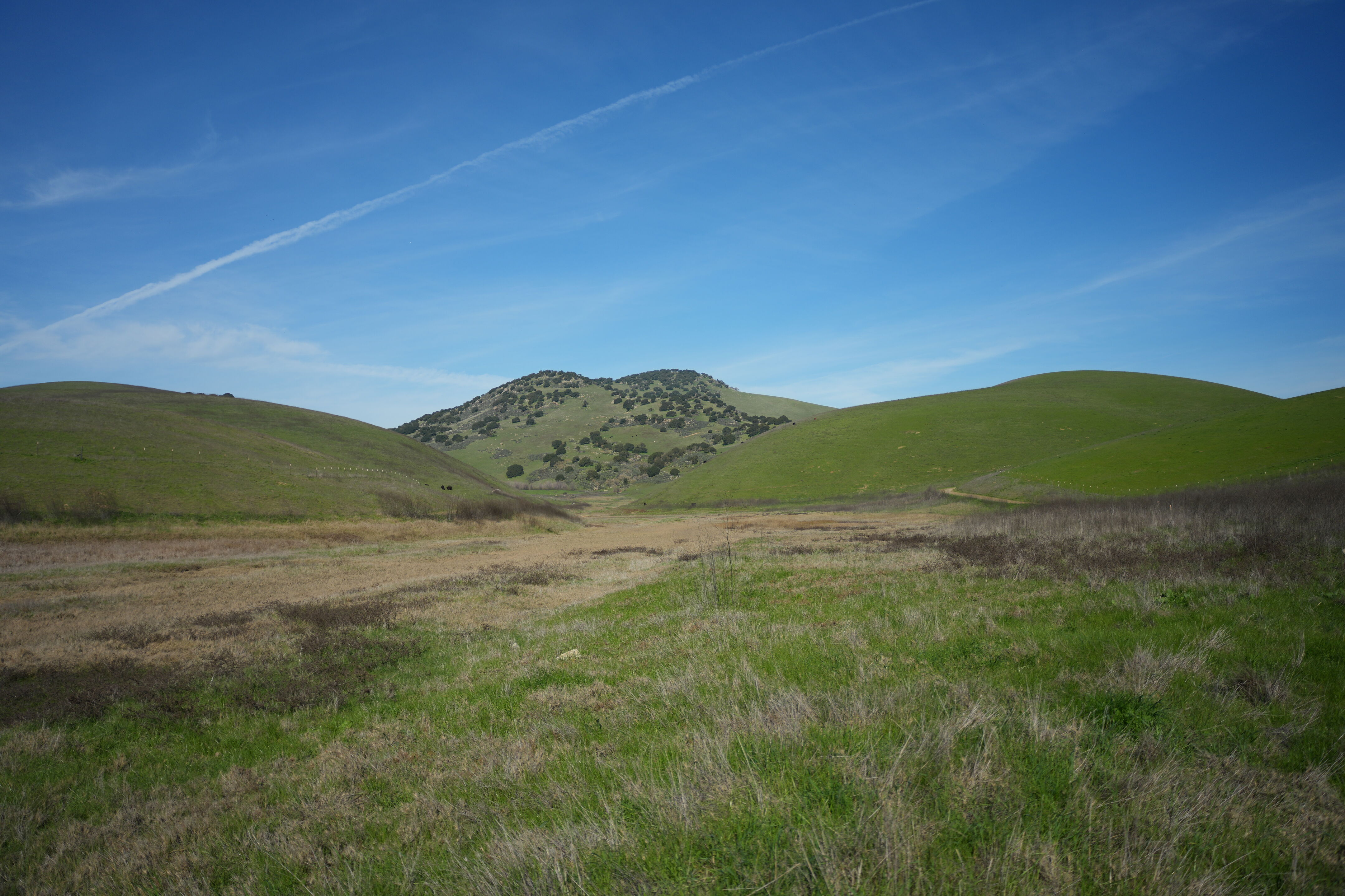 Brushy Peak Regional Preserve