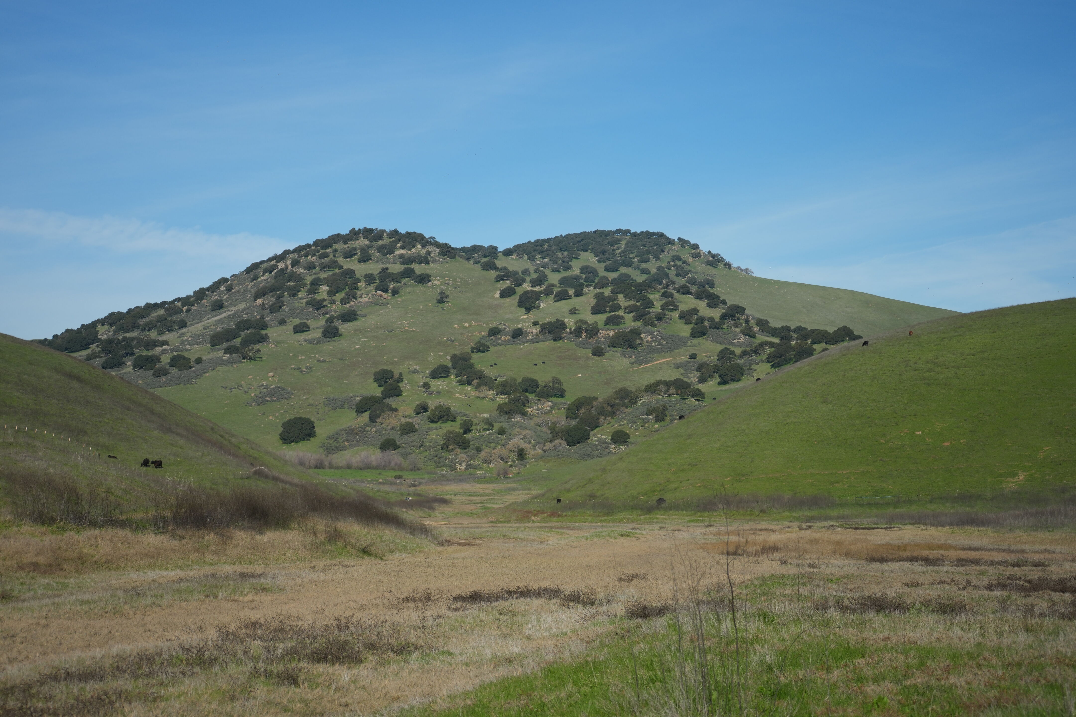 Brushy Peak Regional Preserve
