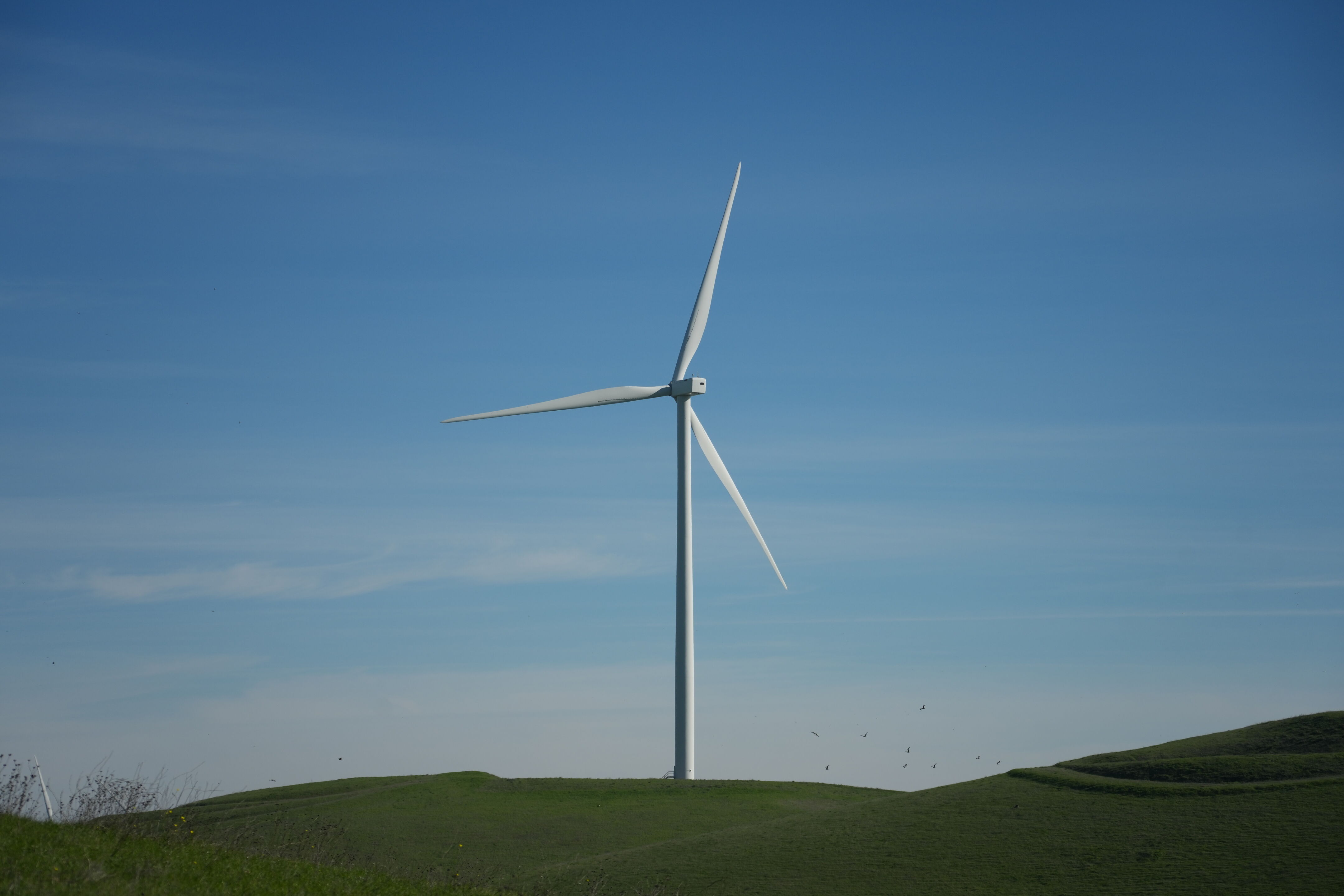 Brushy Peak Regional Preserve