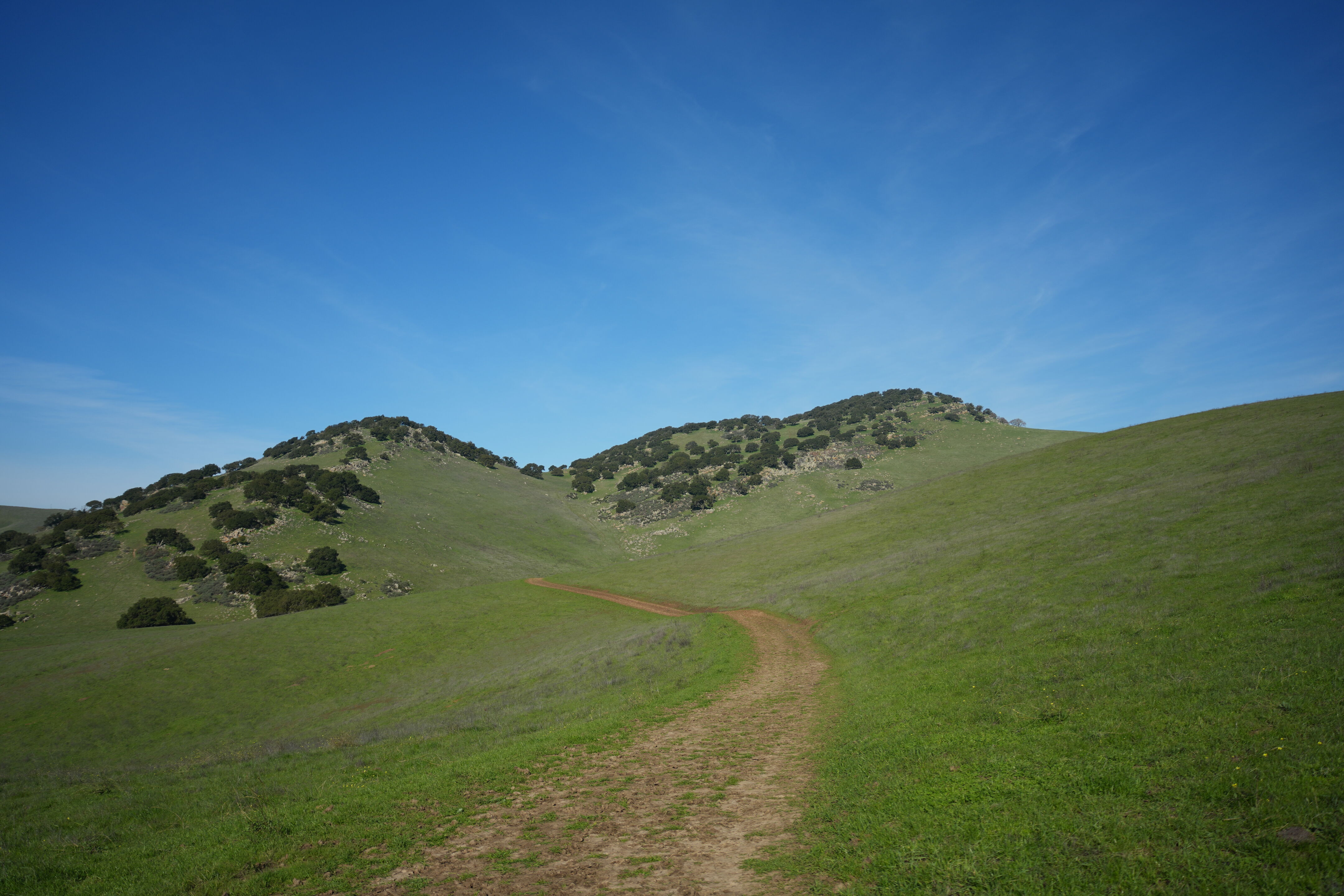 Brushy Peak Regional Preserve