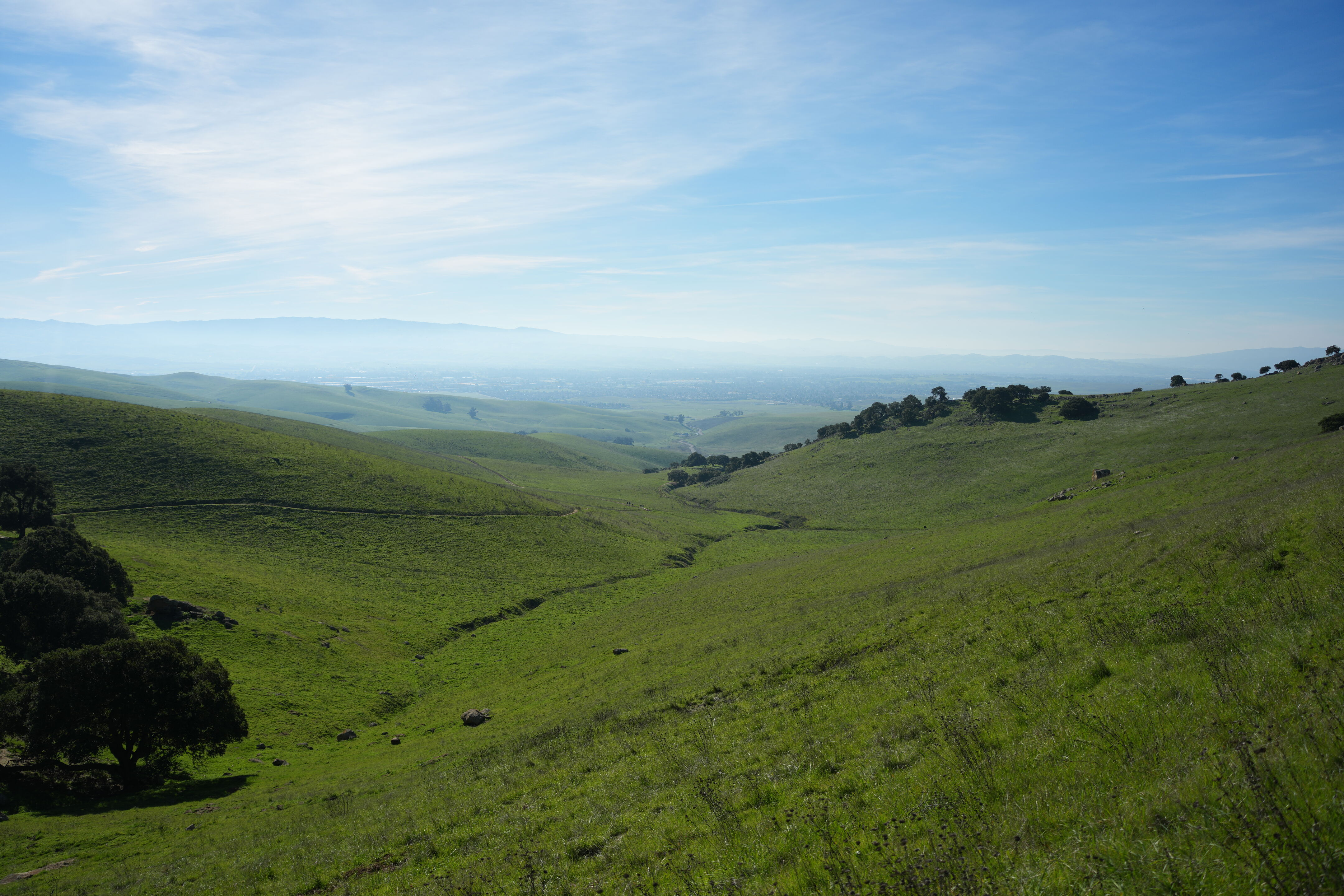 Brushy Peak Regional Preserve