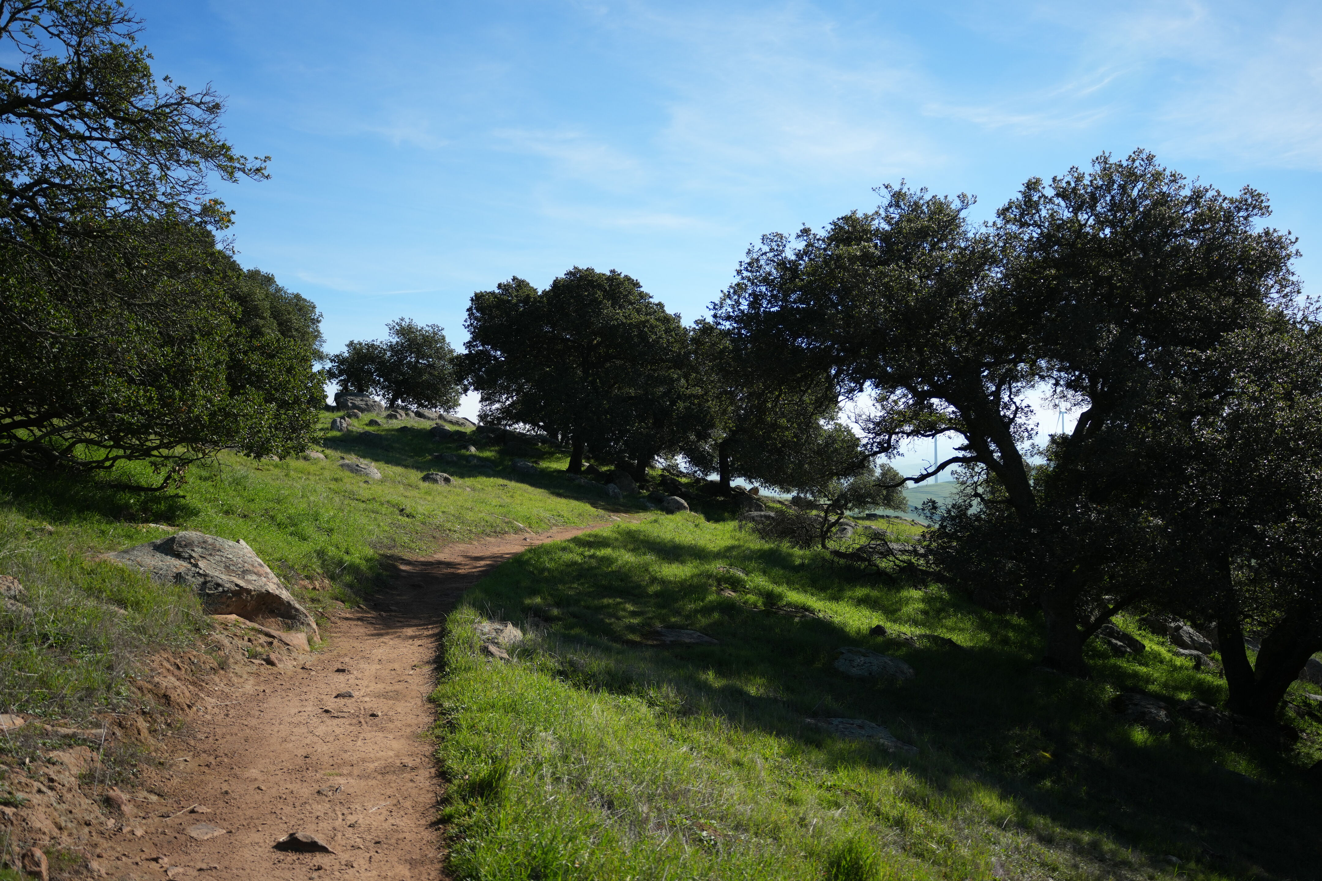 Brushy Peak Regional Preserve