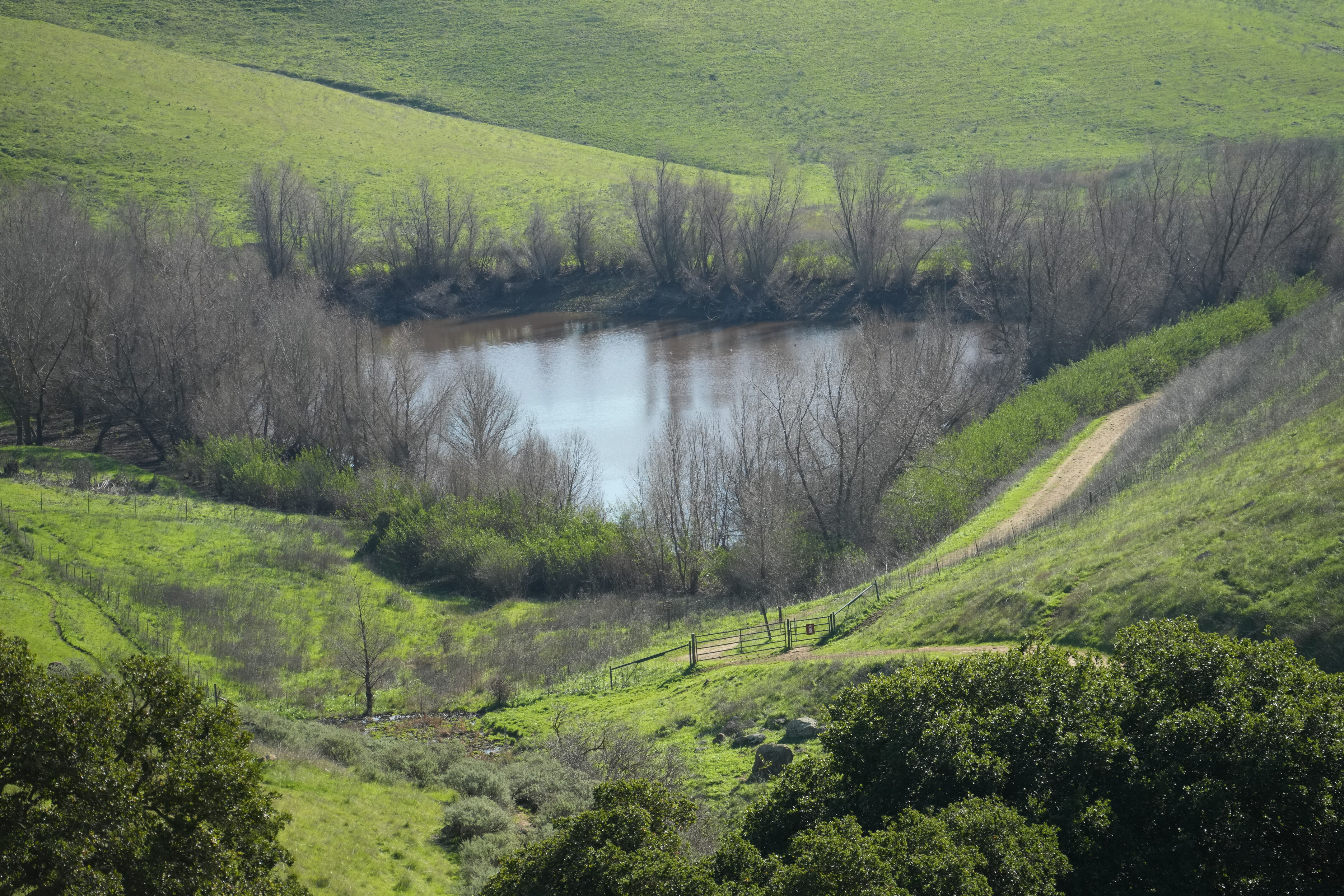 Brushy Peak Regional Preserve