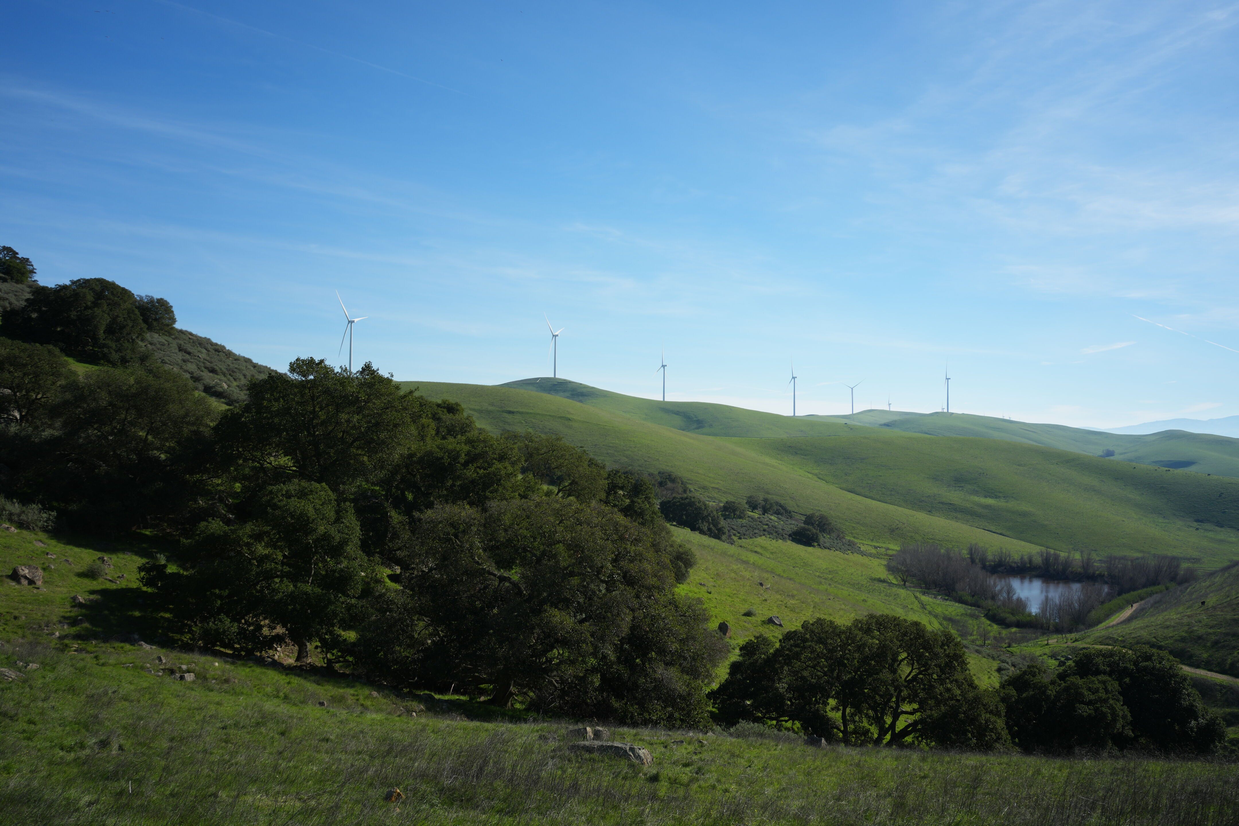 Brushy Peak Regional Preserve
